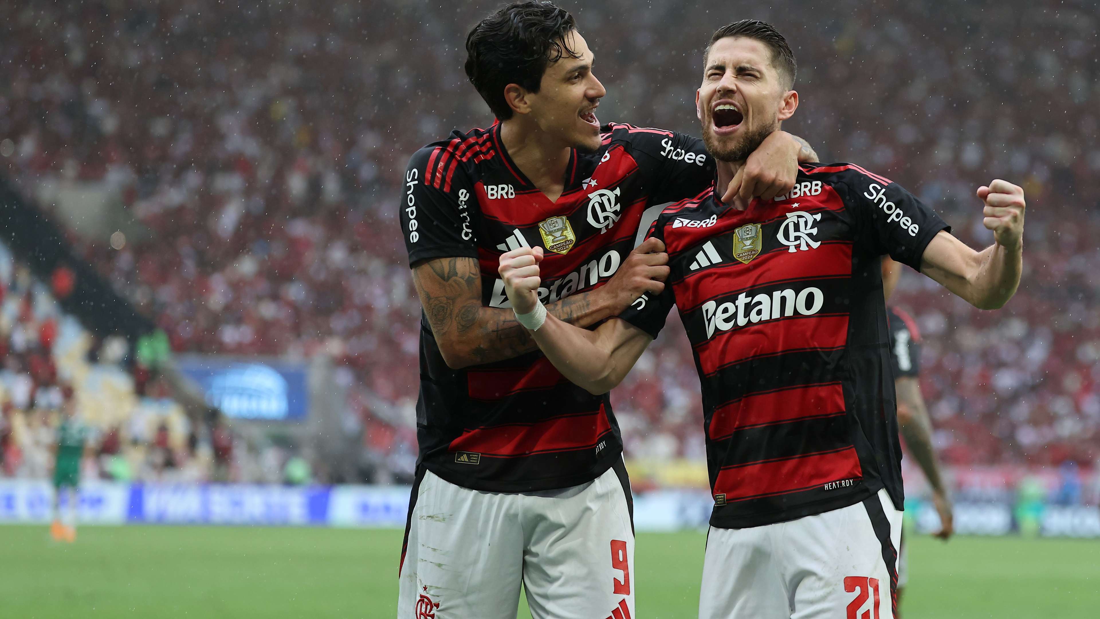 Flamengo v Palmeiras - Brasileirao 2025