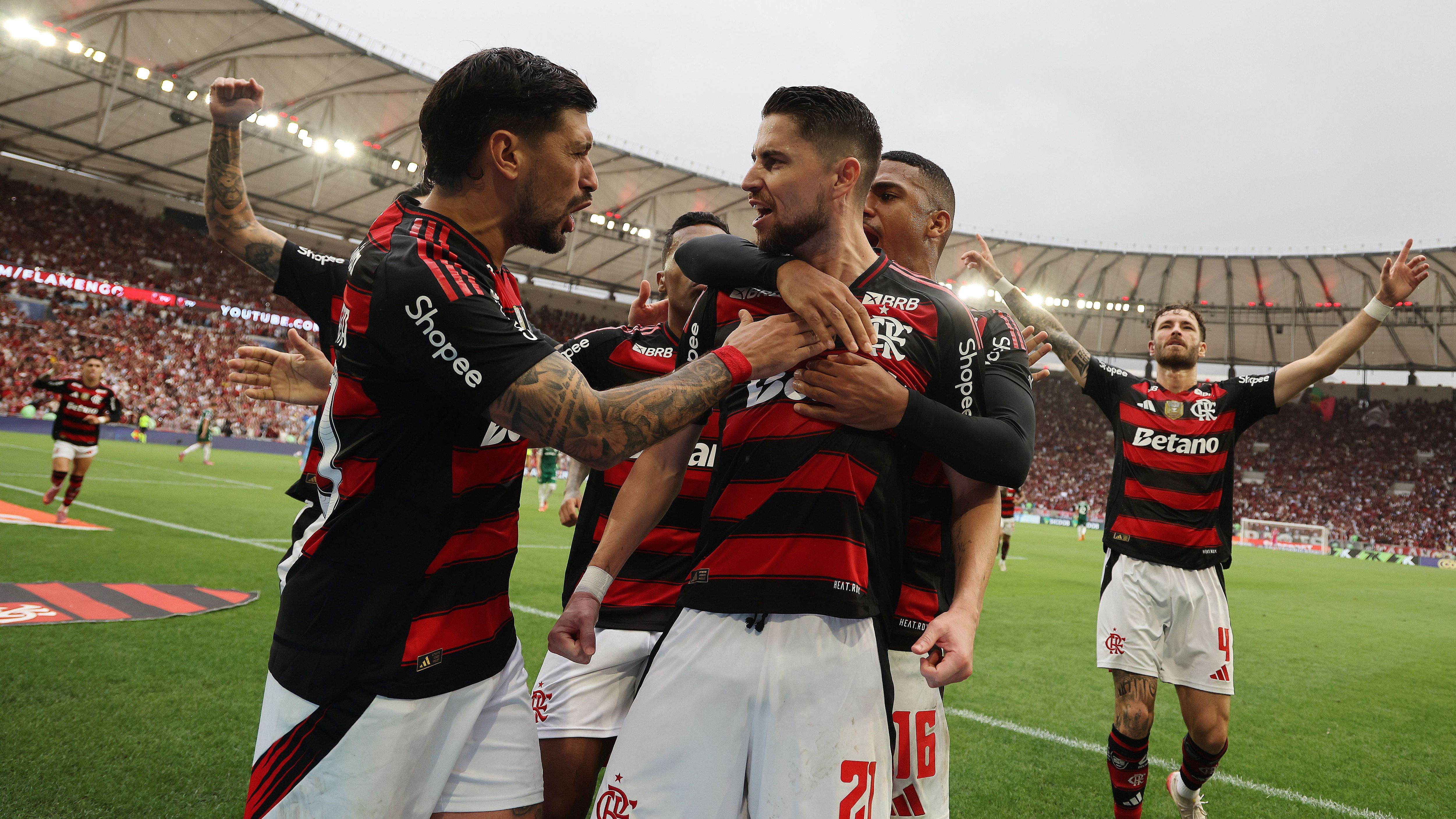 Flamengo v Palmeiras - Brasileirao 2025