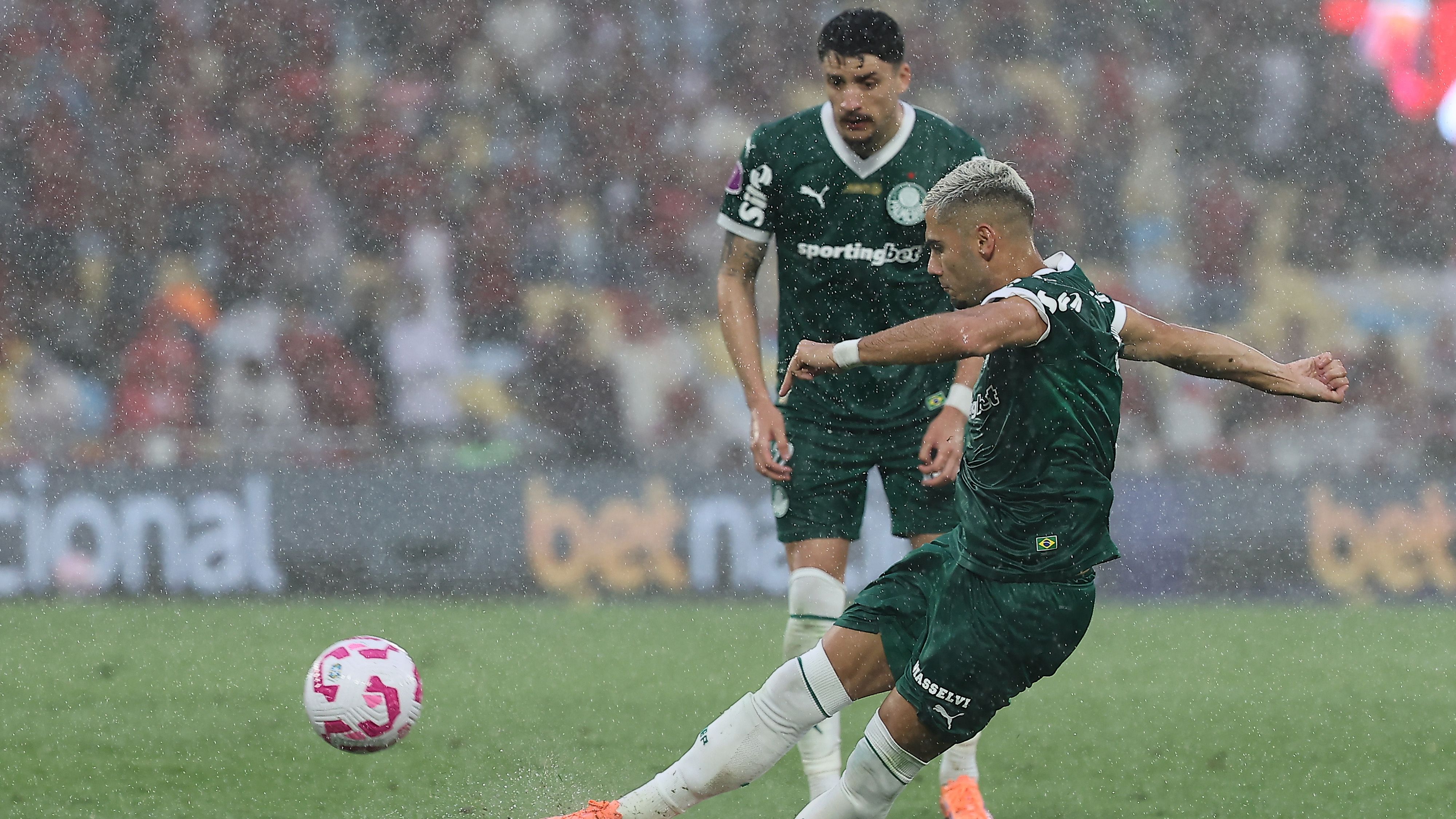 Flamengo v Palmeiras - Brasileirao 2025