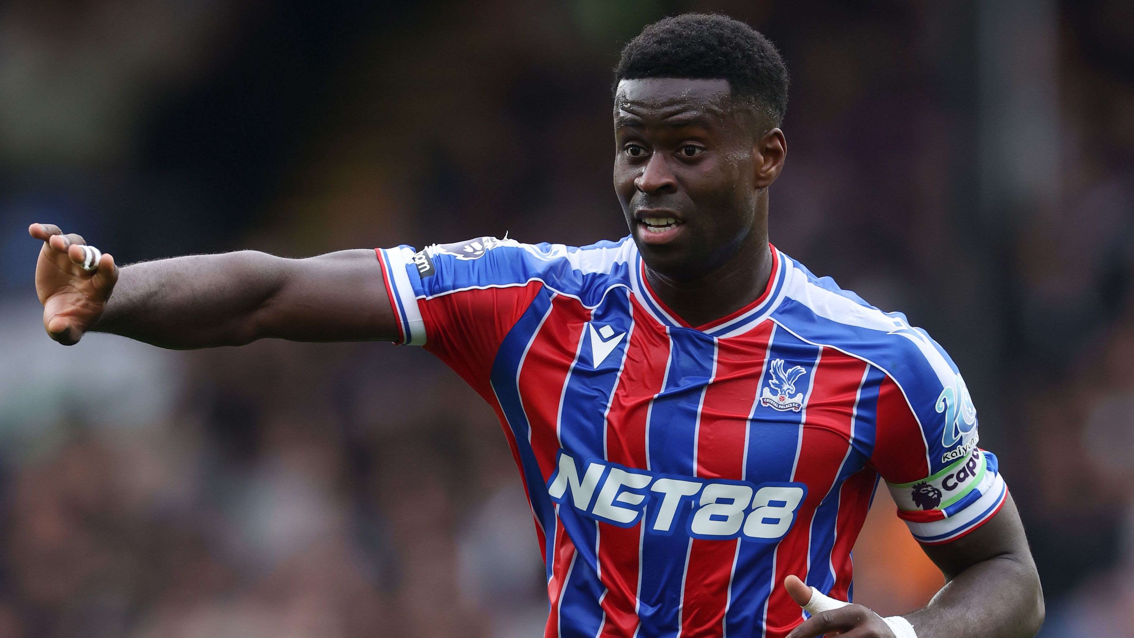 Crystal Palace v Bournemouth - Premier League