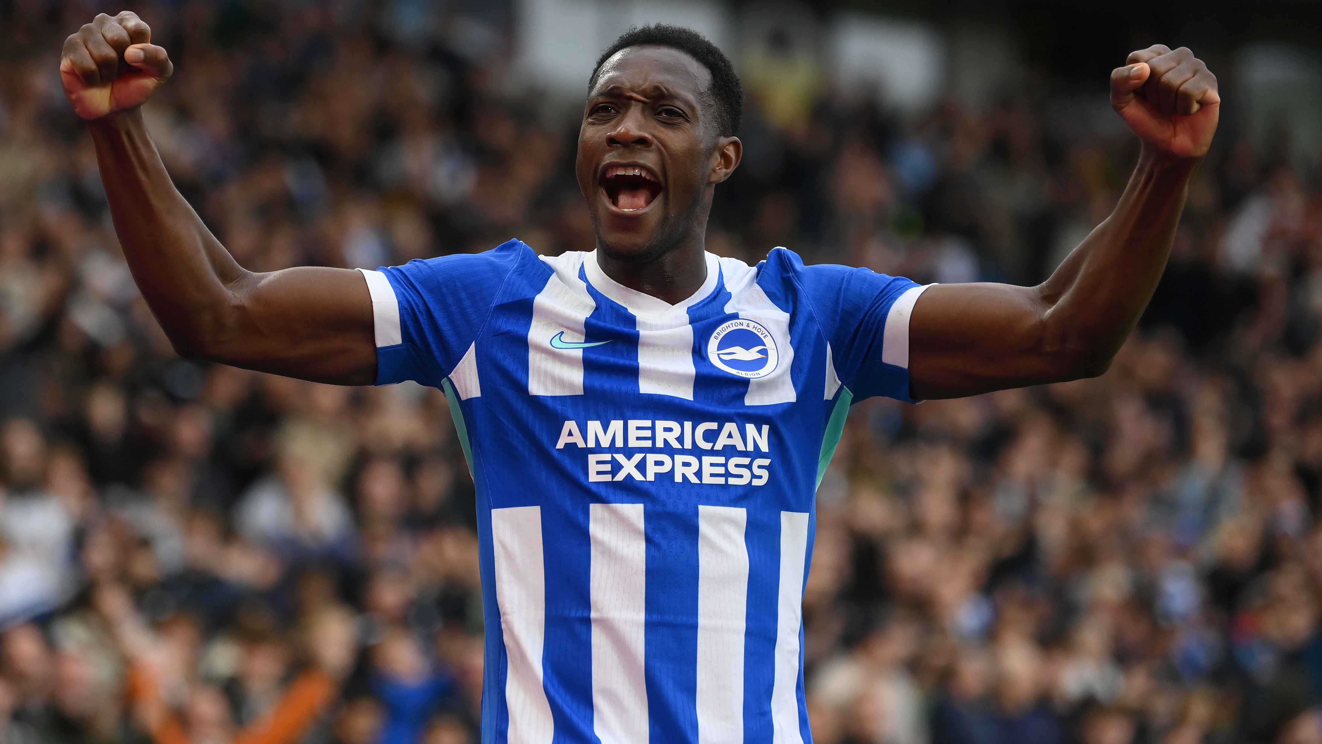 Brighton & Hove Albion v Newcastle United - Premier League
