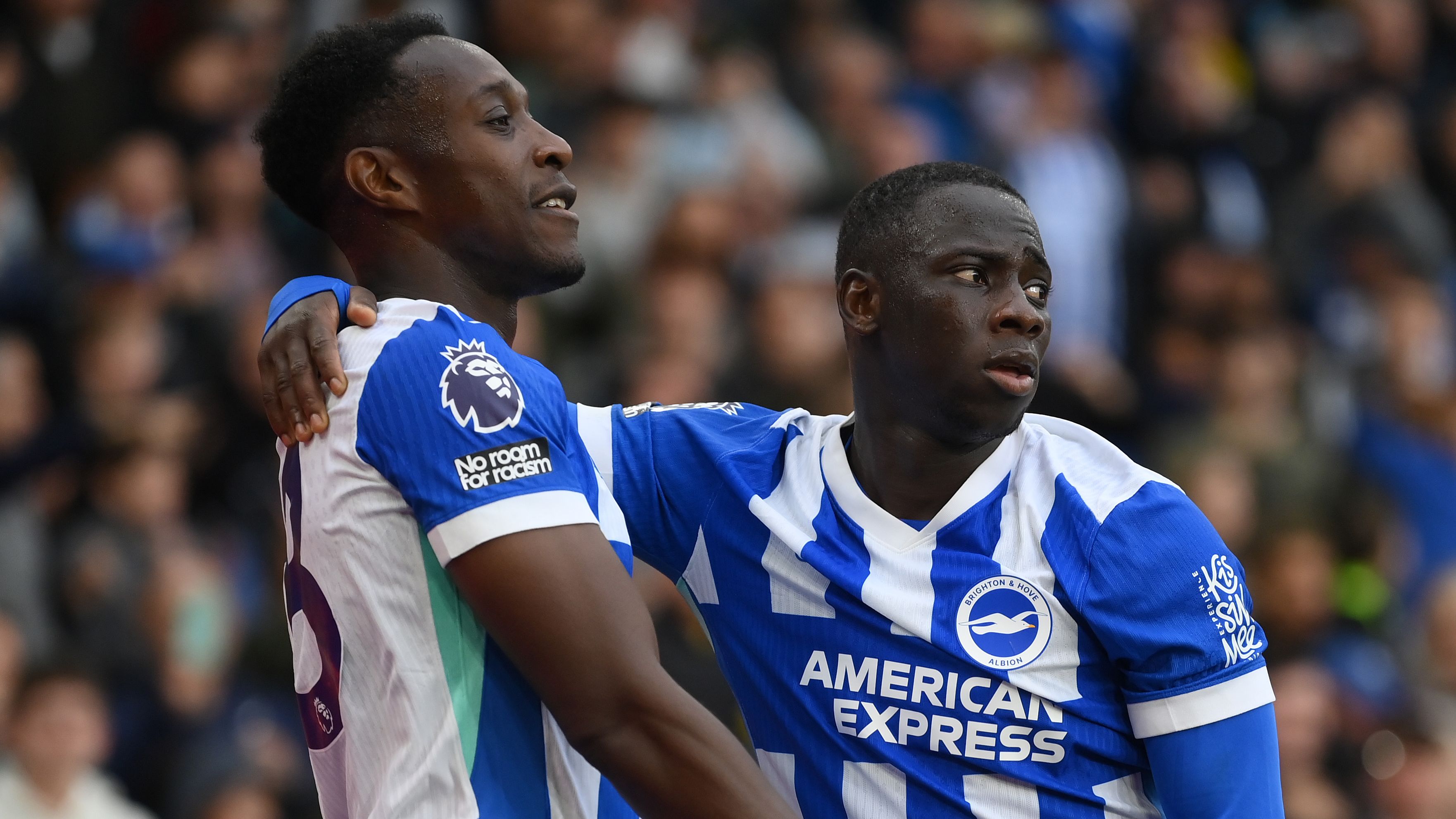 Brighton & Hove Albion v Newcastle United - Premier League