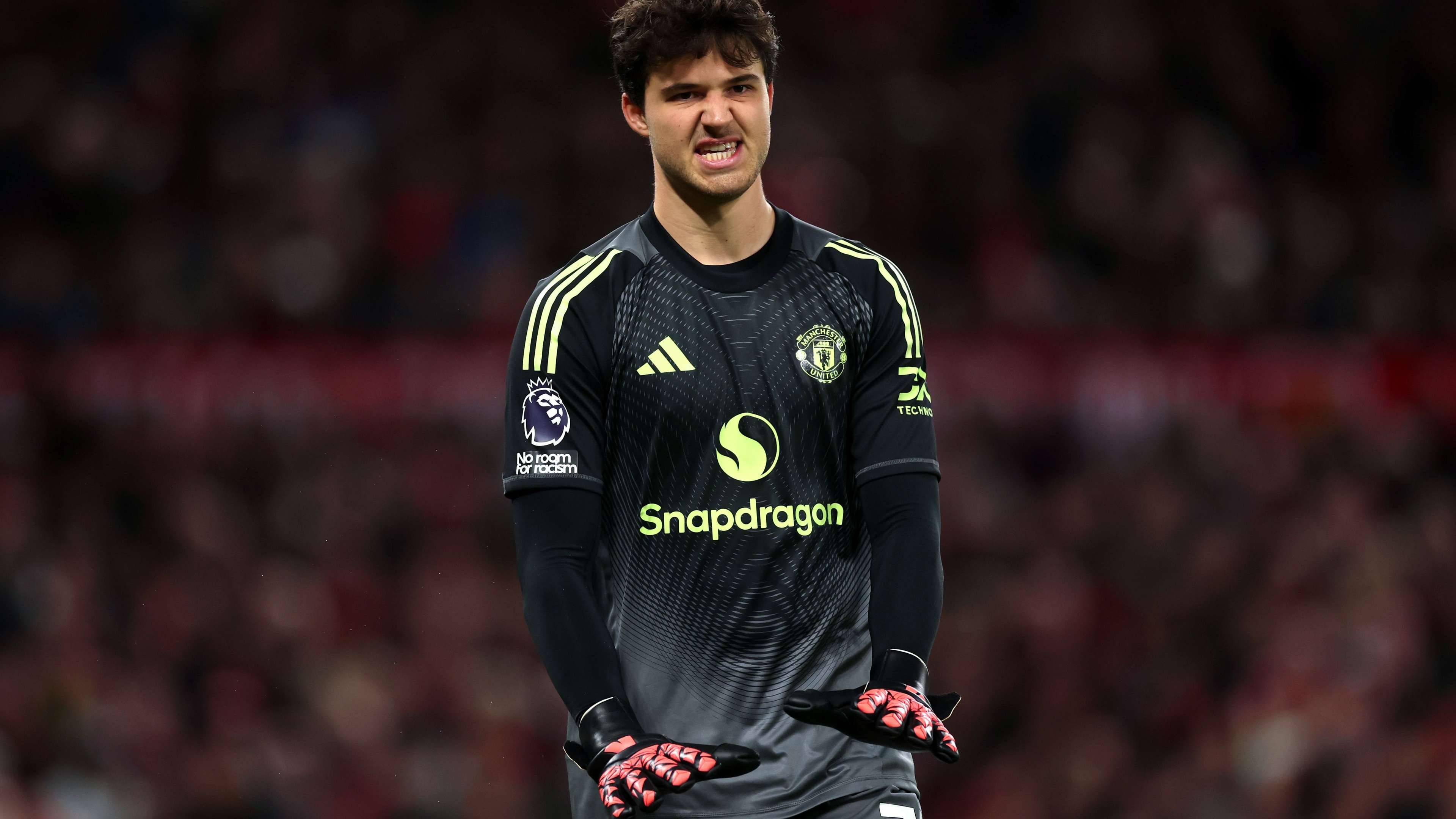 Manchester United v Brighton & Hove Albion - Premier League