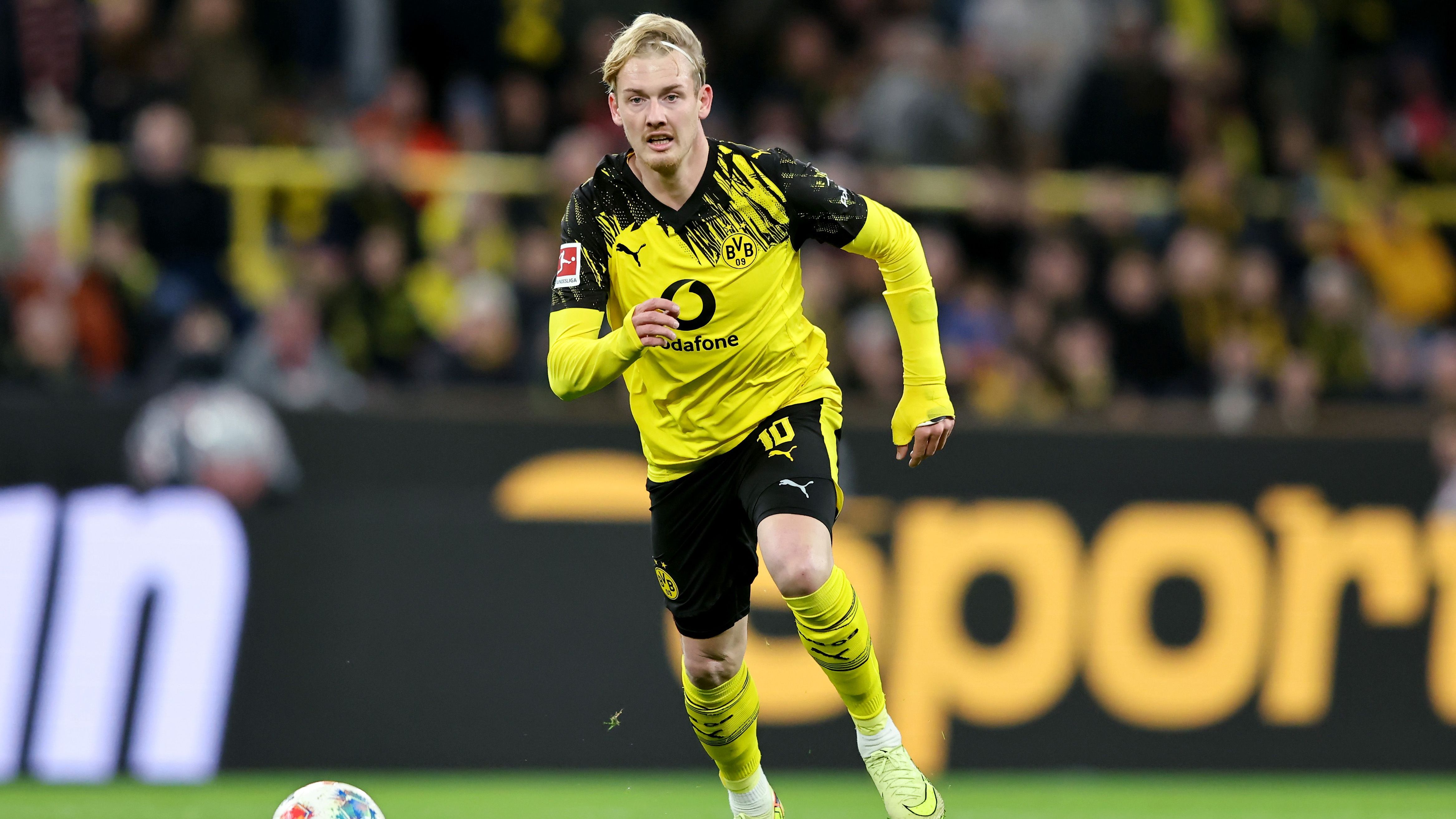 Borussia Dortmund v 1. FC Köln - Bundesliga