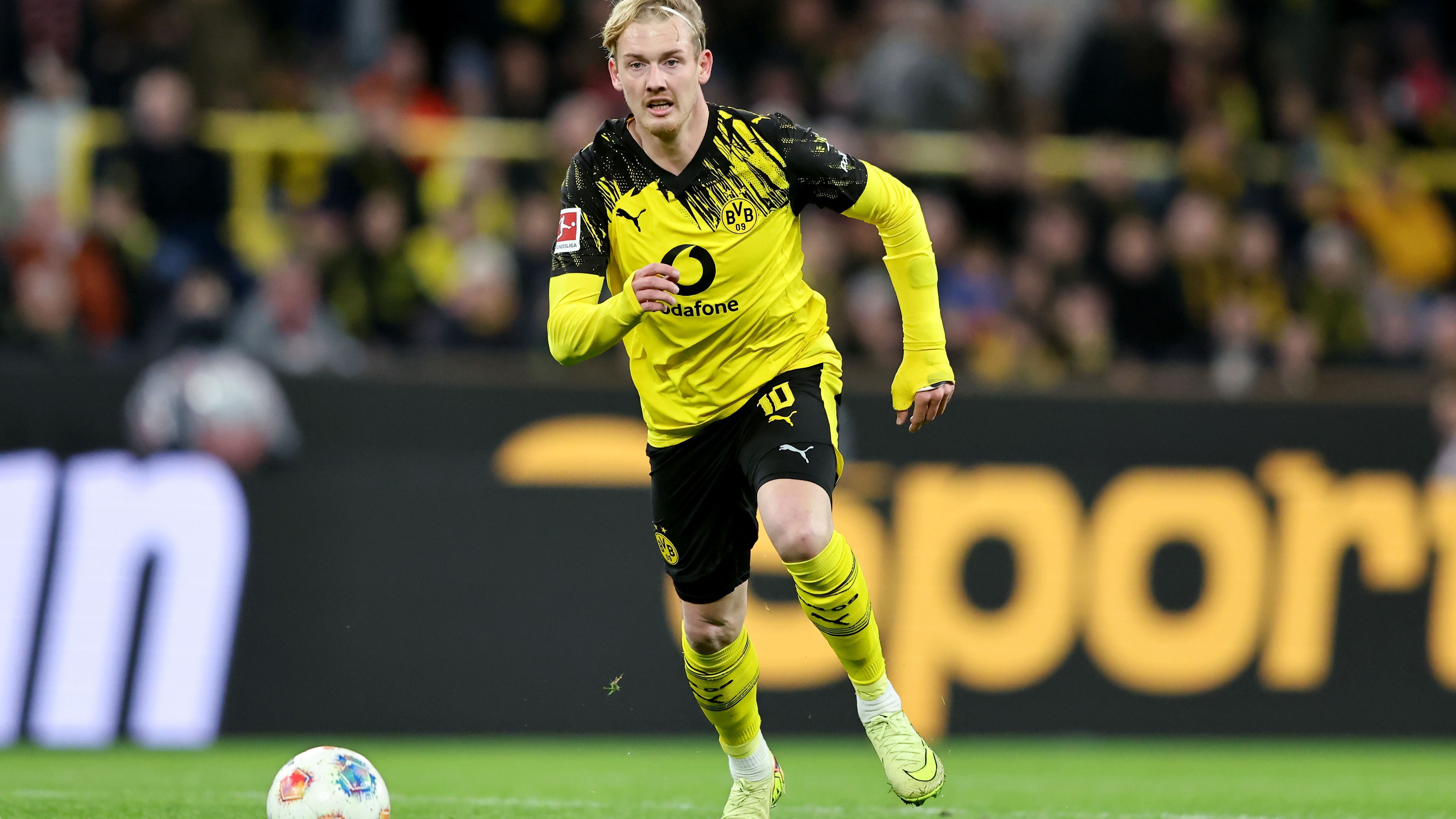 Borussia Dortmund v 1. FC Köln - Bundesliga