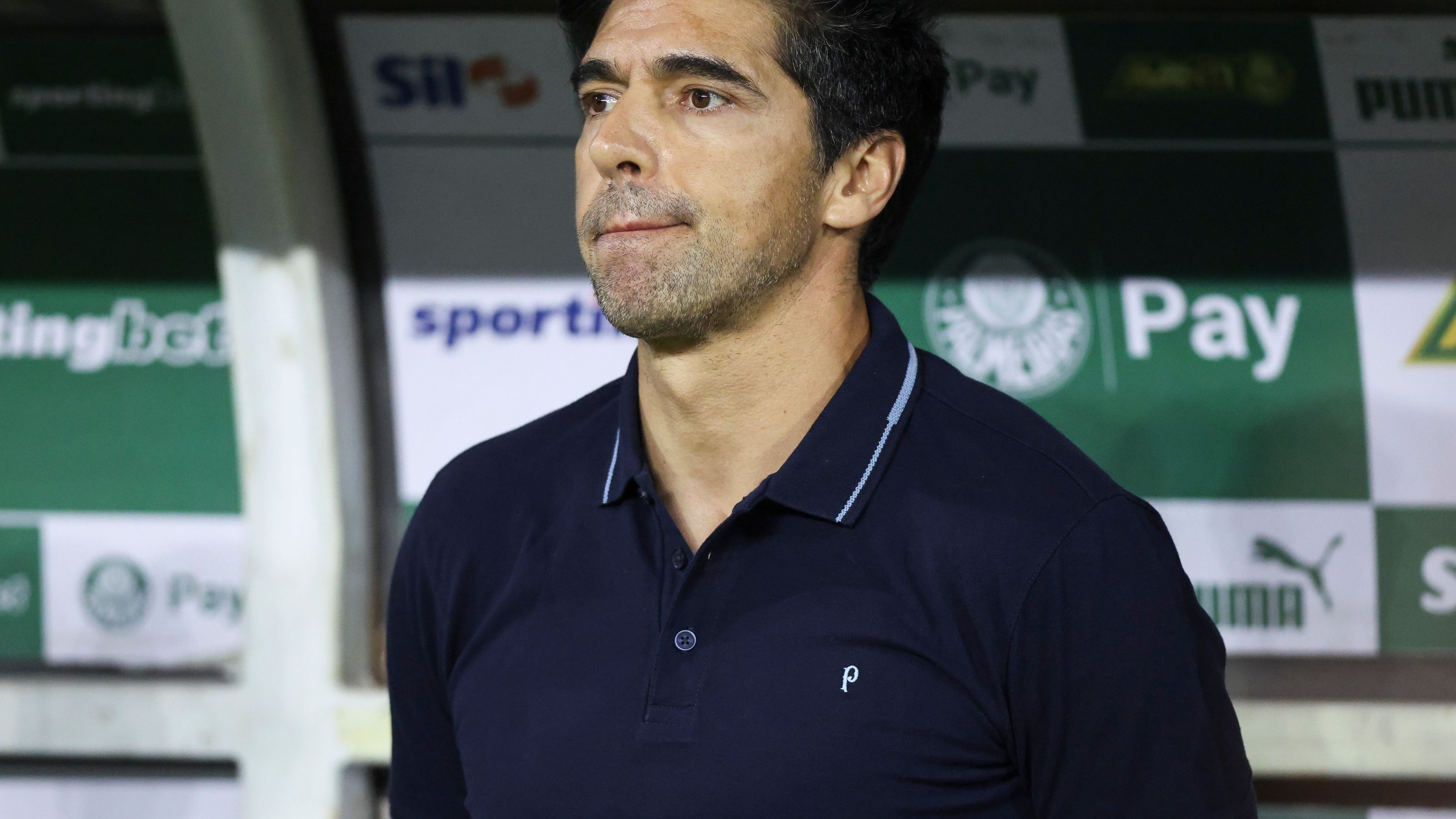 Palmeiras v Cruzeiro - Brasileirao 2025