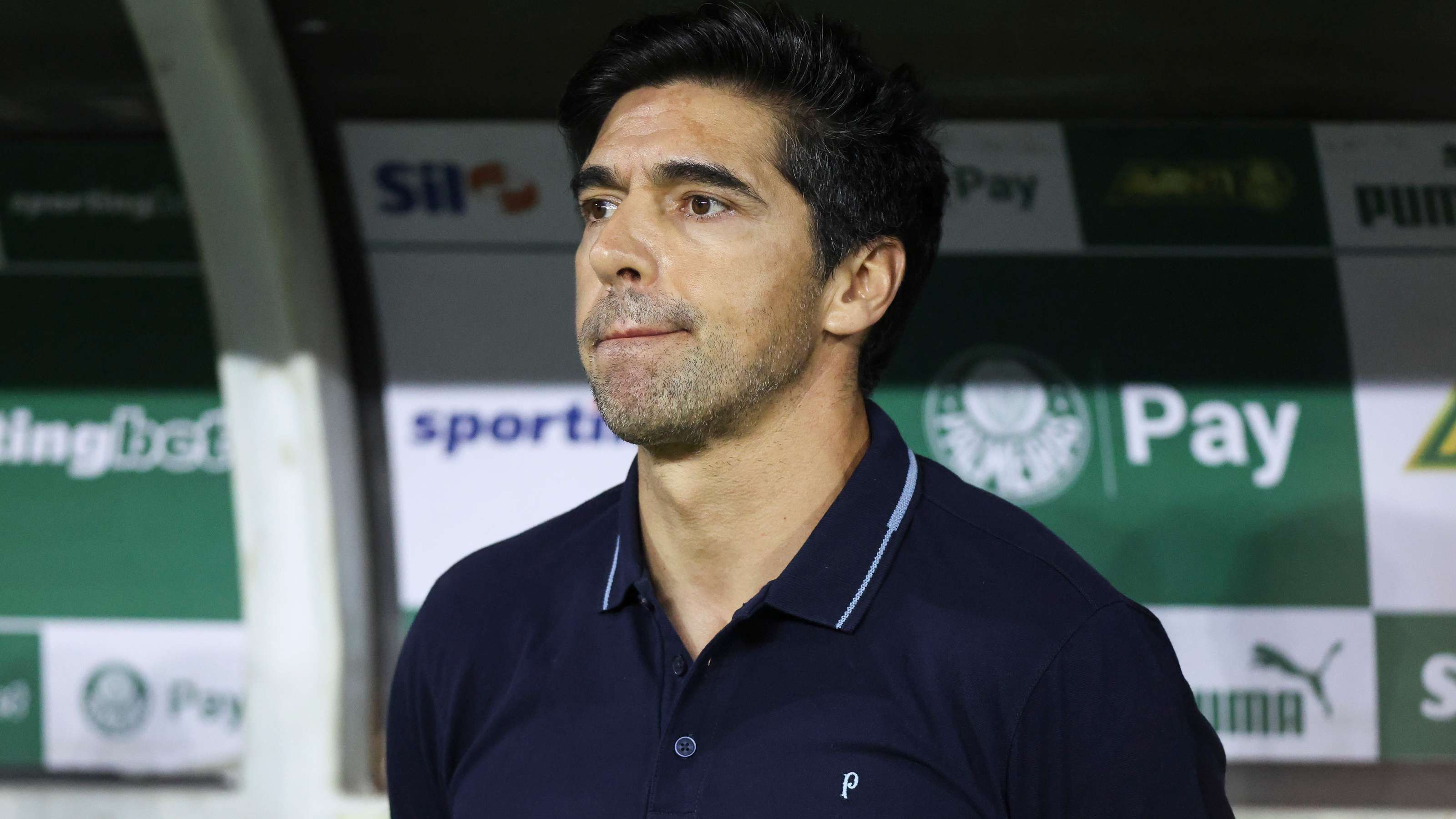 Palmeiras v Cruzeiro - Brasileirao 2025