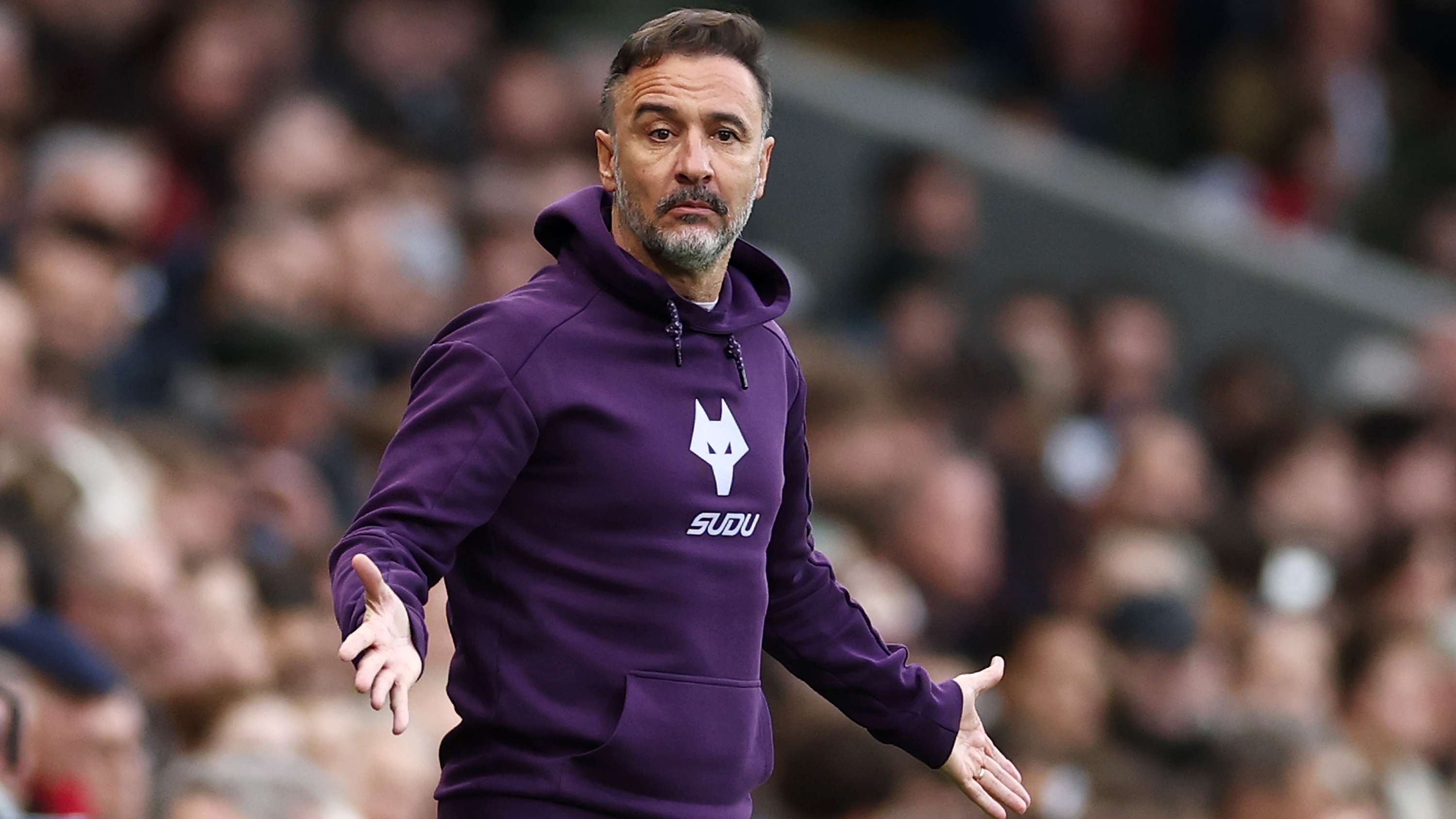 Fulham v Wolverhampton Wanderers - Premier League