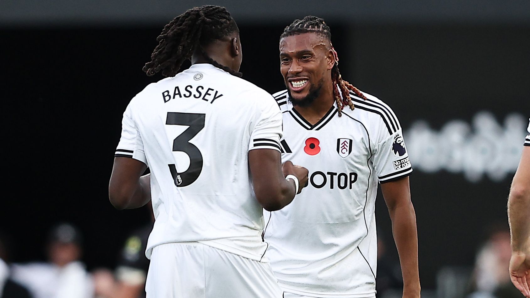 Fulham v Wolverhampton Wanderers - Premier League