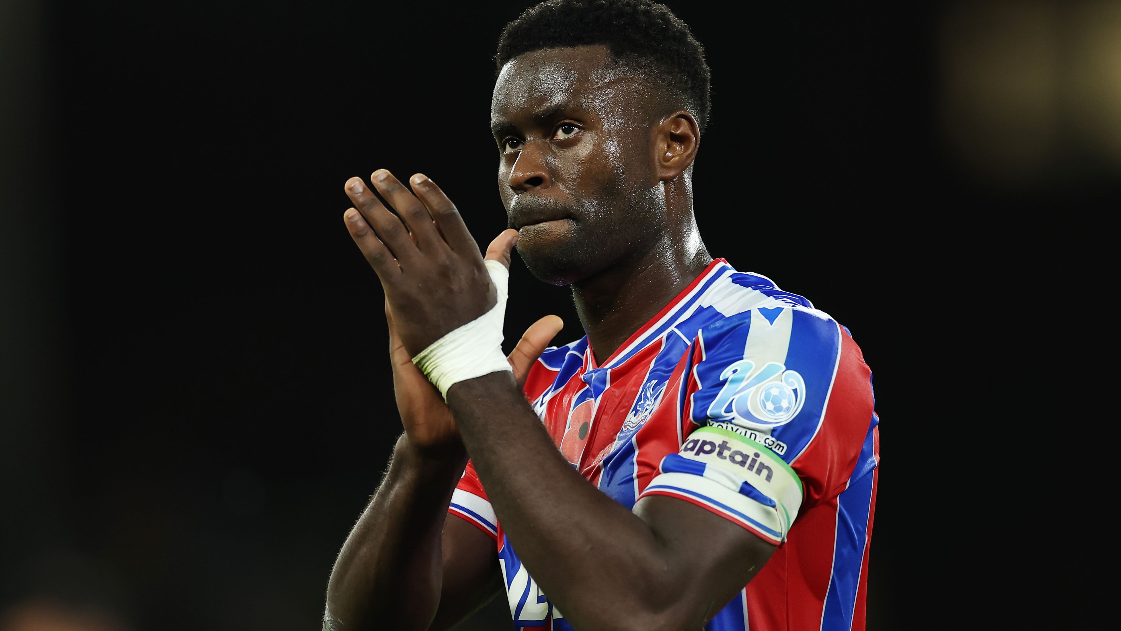 Crystal Palace v Brentford - Premier League