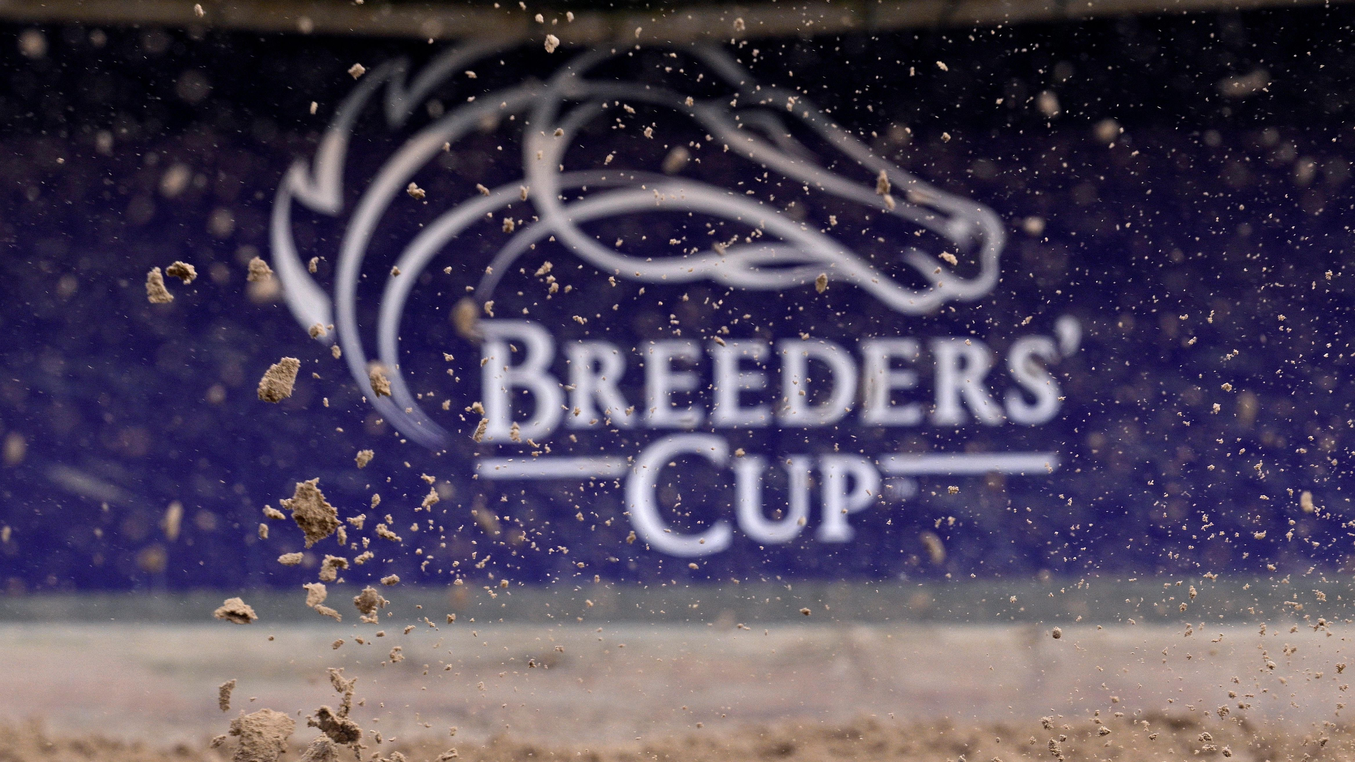 42nd Breeders' Cup