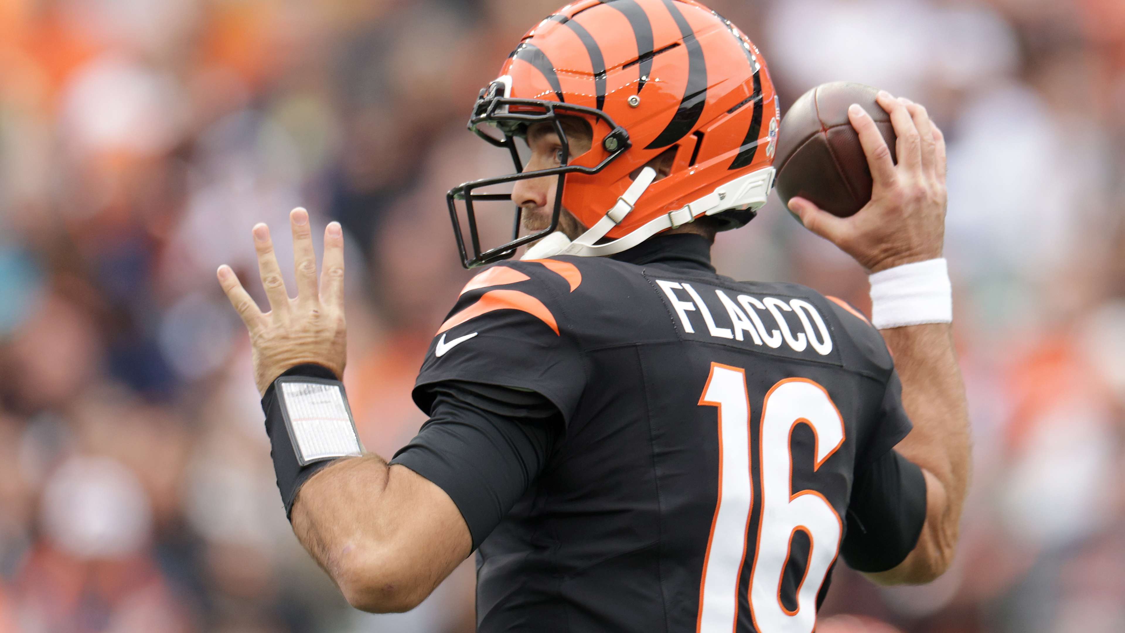 Chicago Bears v Cincinnati Bengals