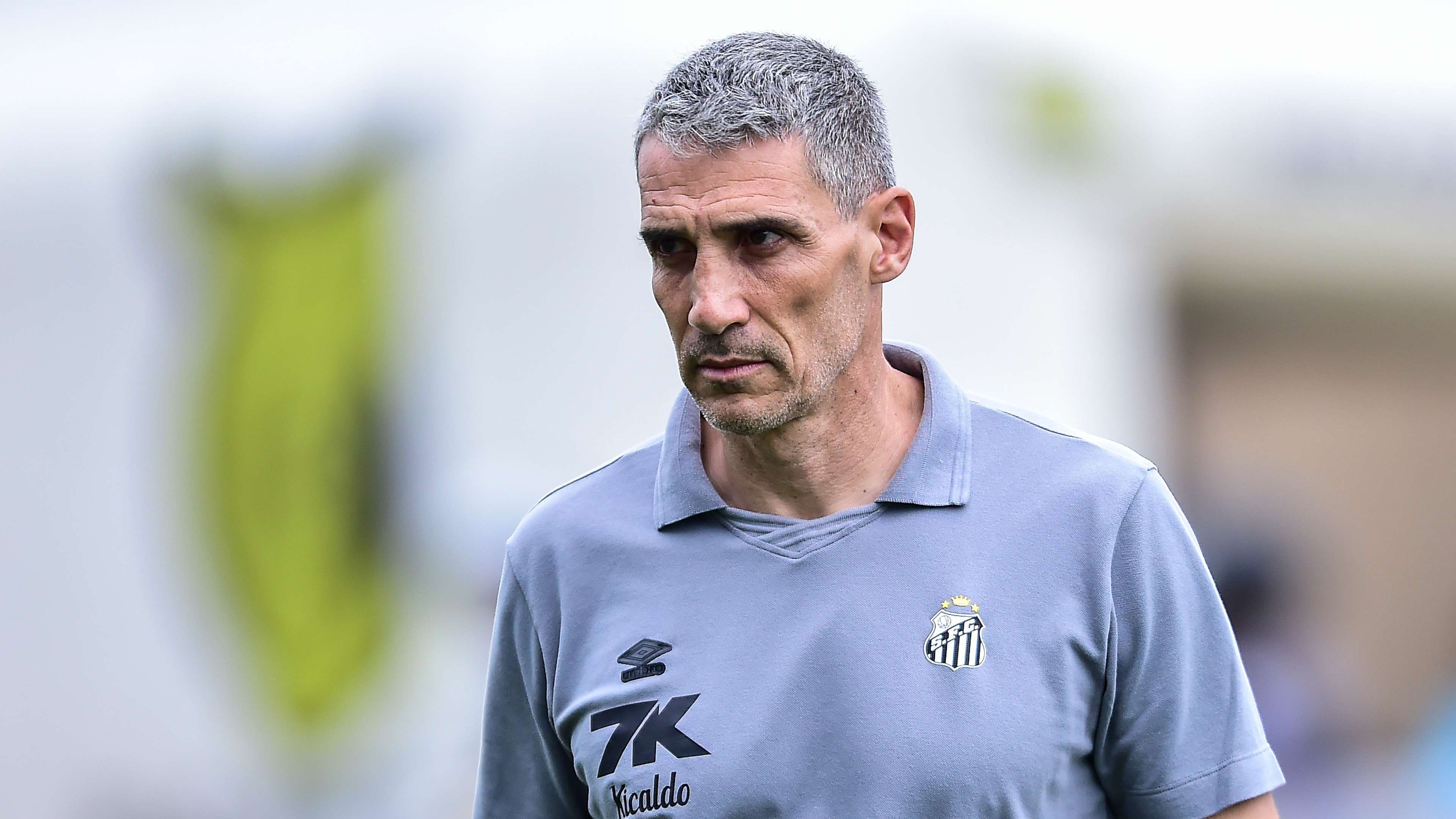 Santos v Fortaleza - Brasileirao 2025