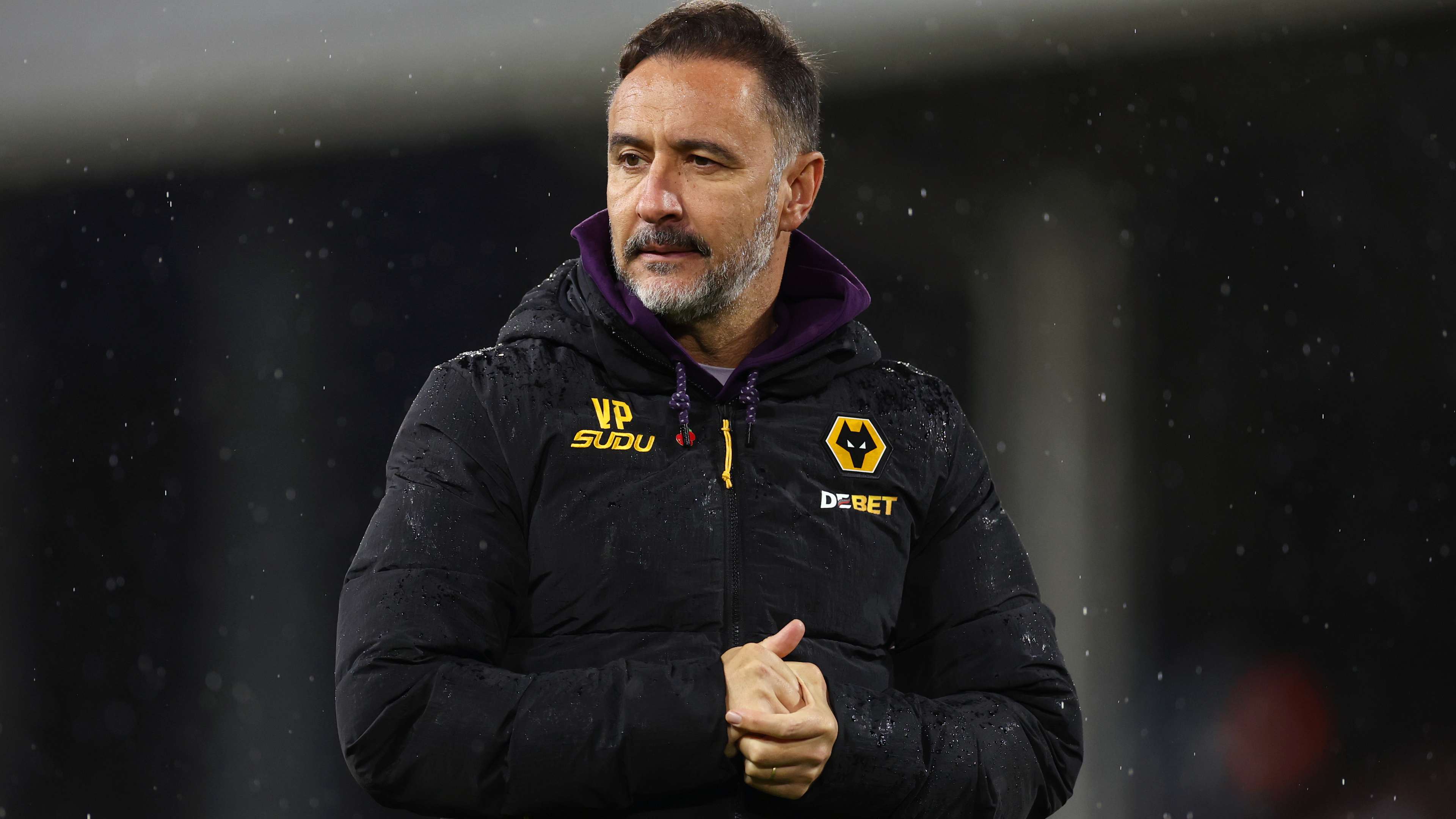 Fulham v Wolverhampton Wanderers - Premier League