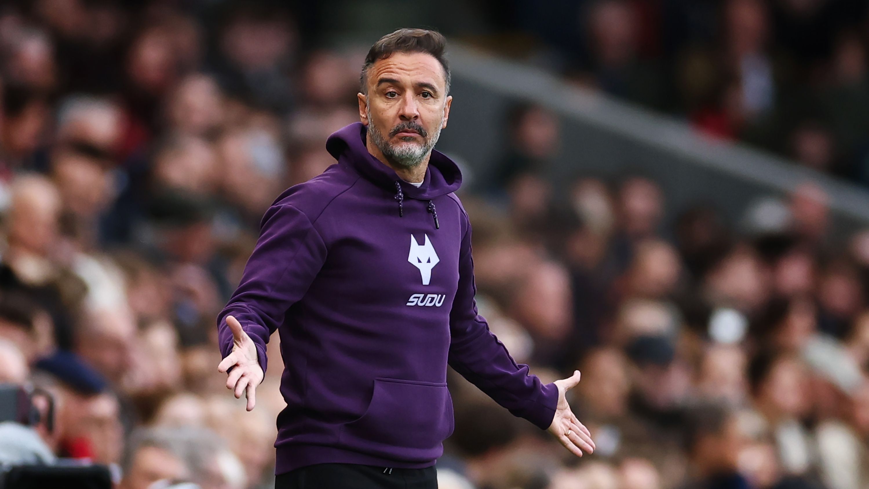 Fulham v Wolverhampton Wanderers - Premier League