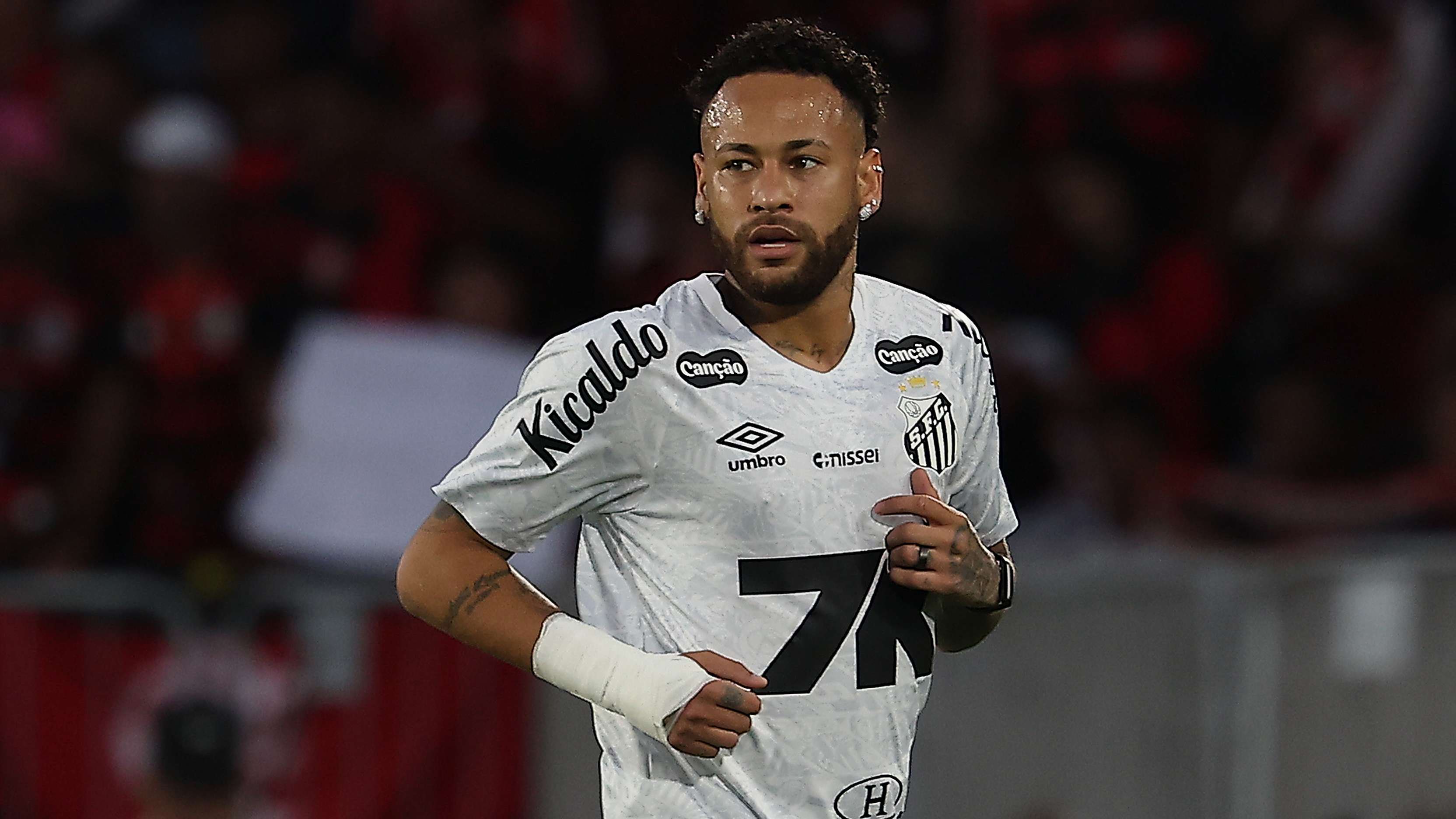 Flamengo v Santos - Brasileirao 2025