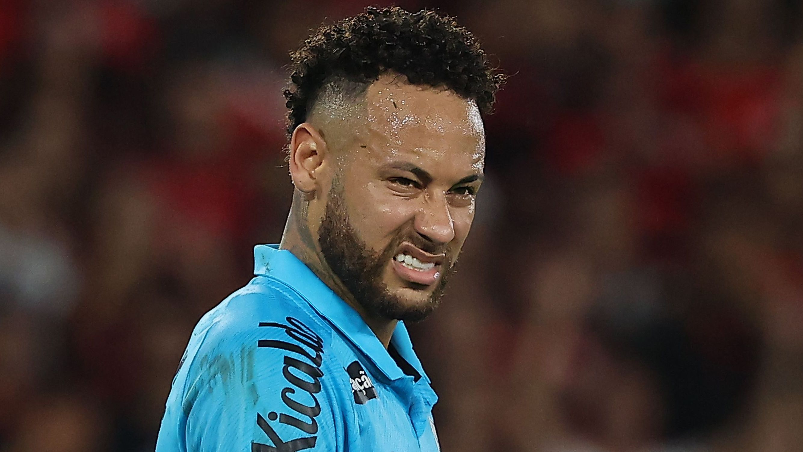 Flamengo v Santos - Brasileirao 2025