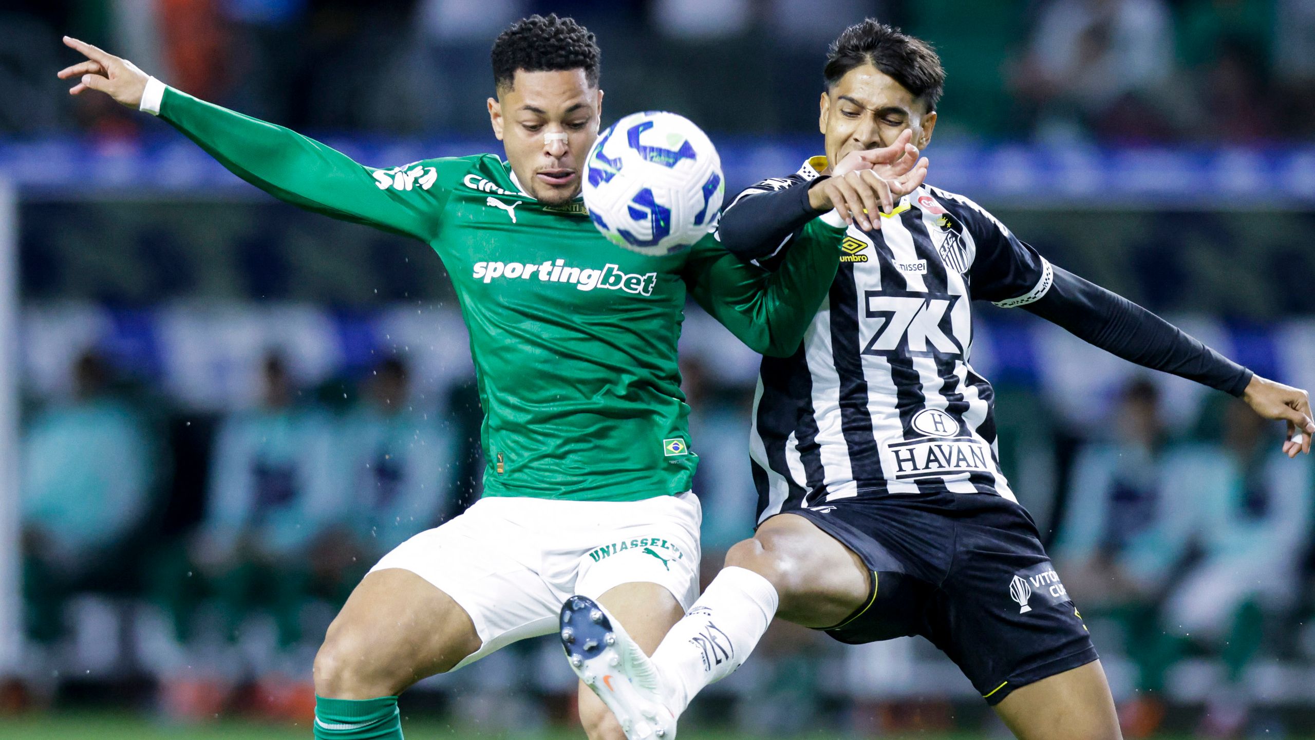 Palmeiras v Santos - Brasileirao 2025