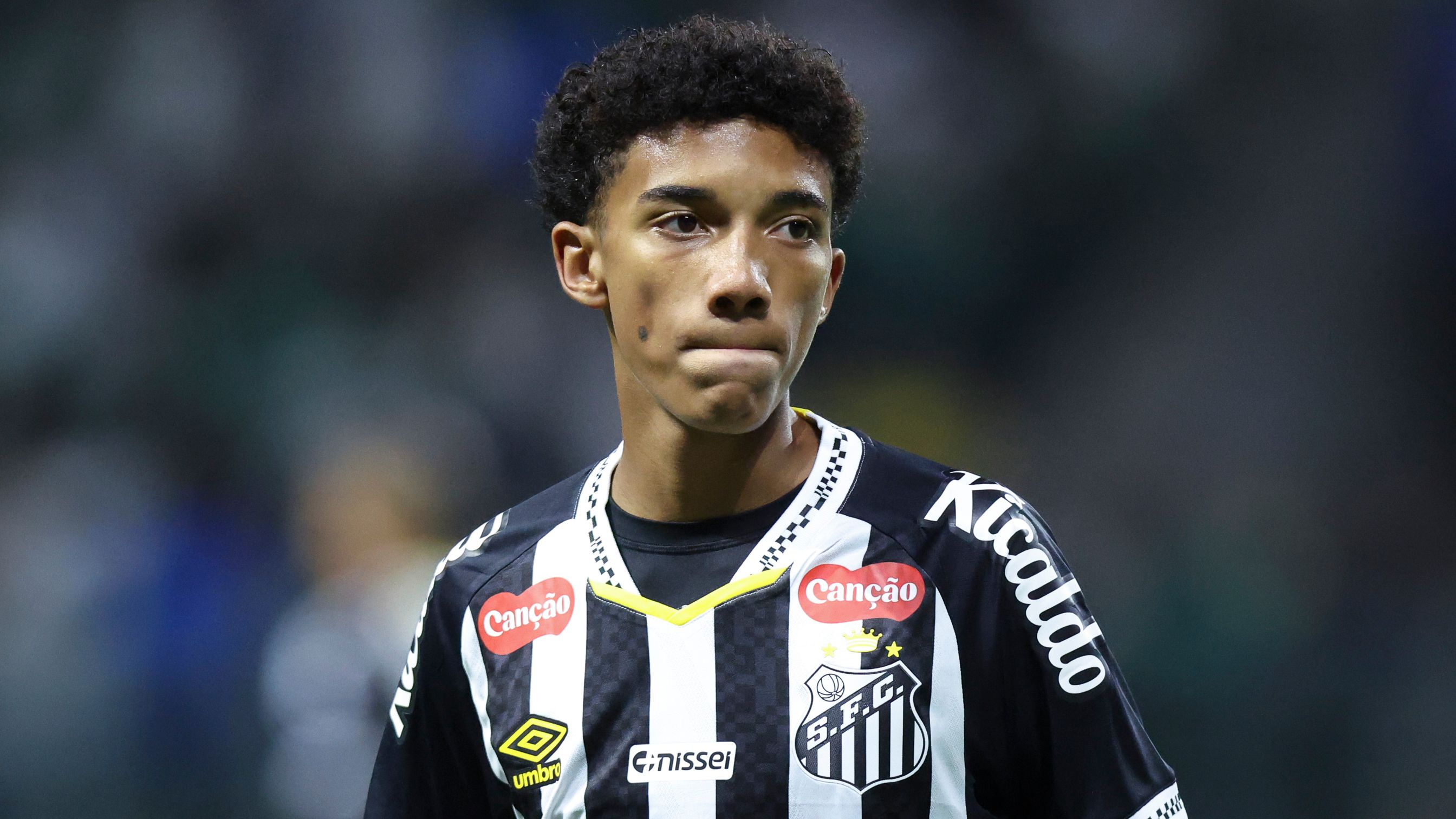 Palmeiras v Santos - Brasileirao 2025
