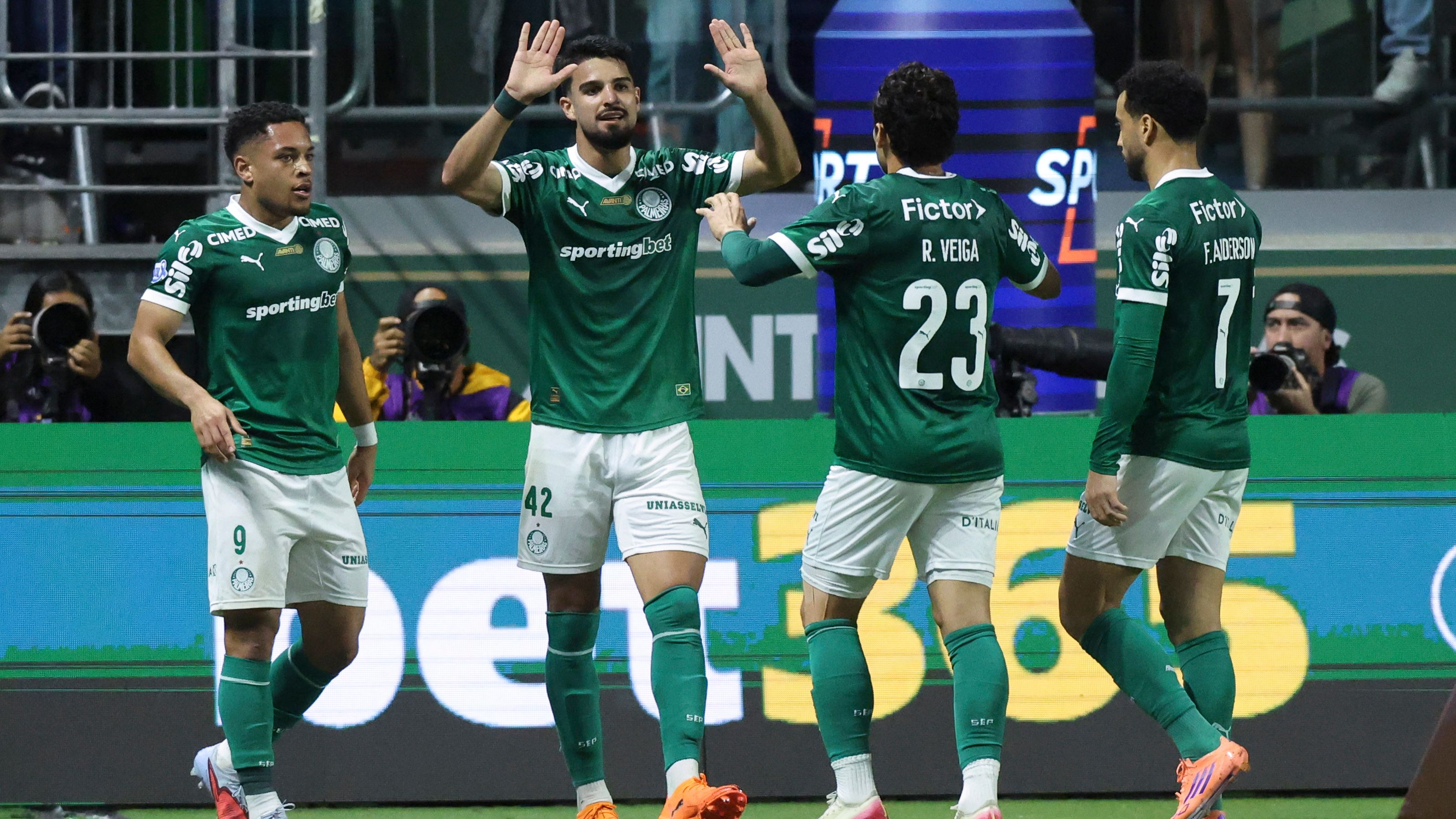 Palmeiras v Santos - Brasileirao 2025