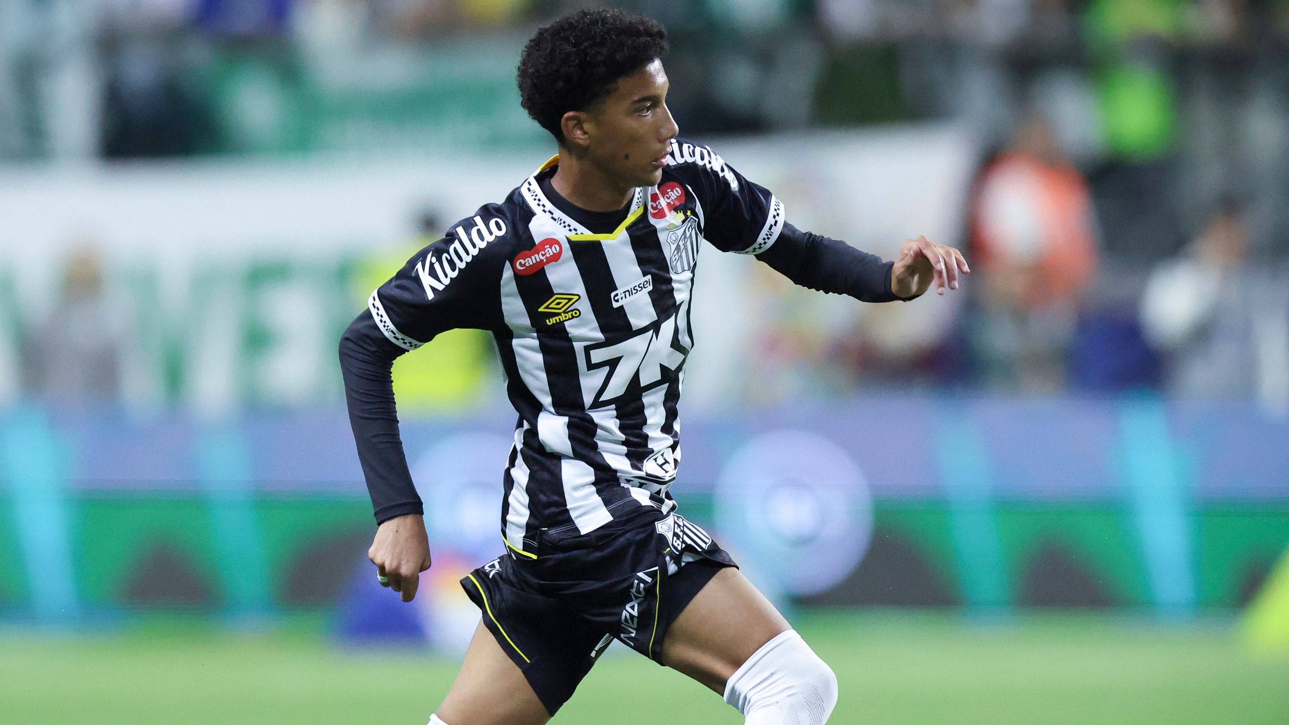 Palmeiras v Santos - Brasileirao 2025