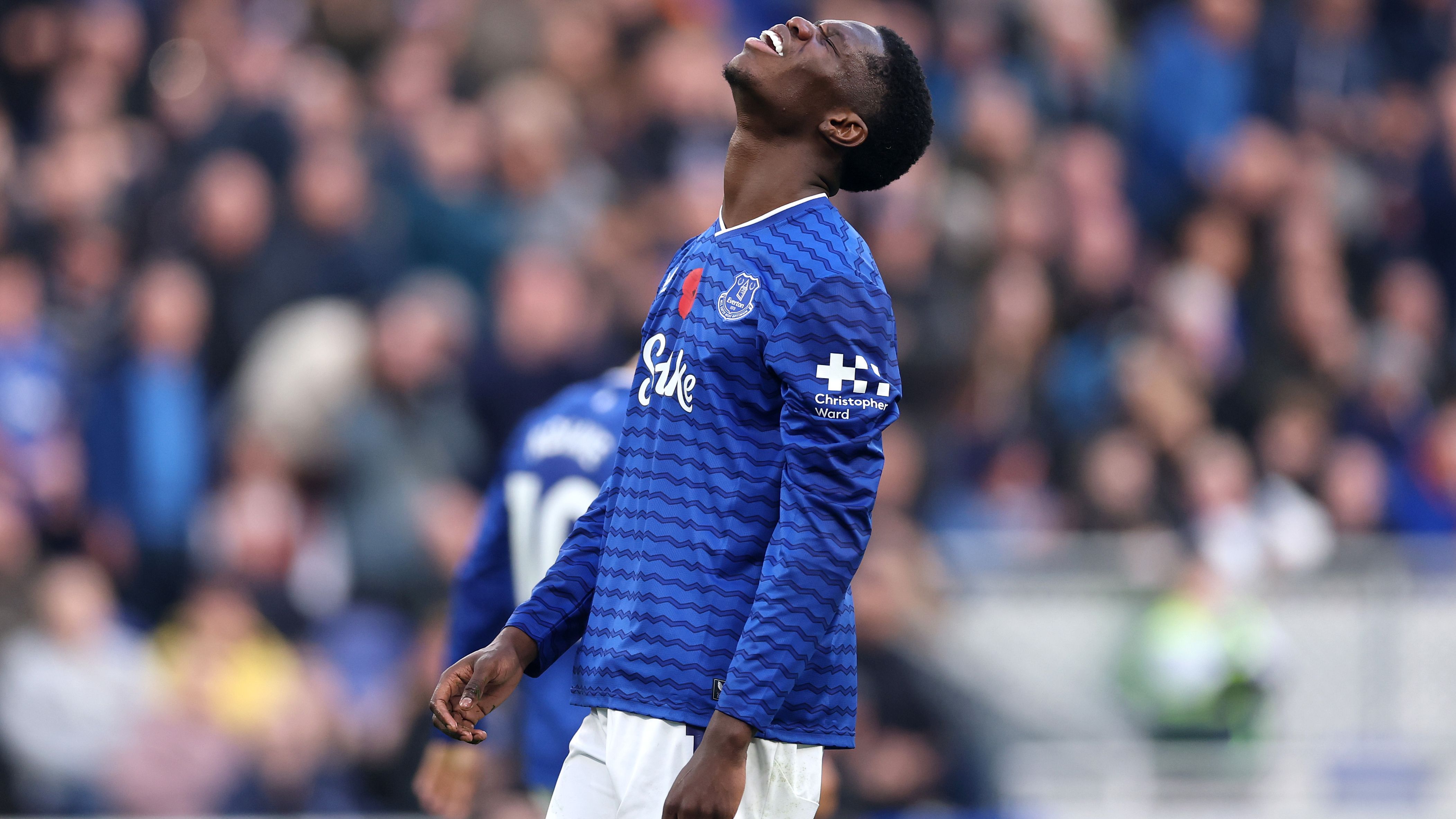 Everton v Fulham - Premier League