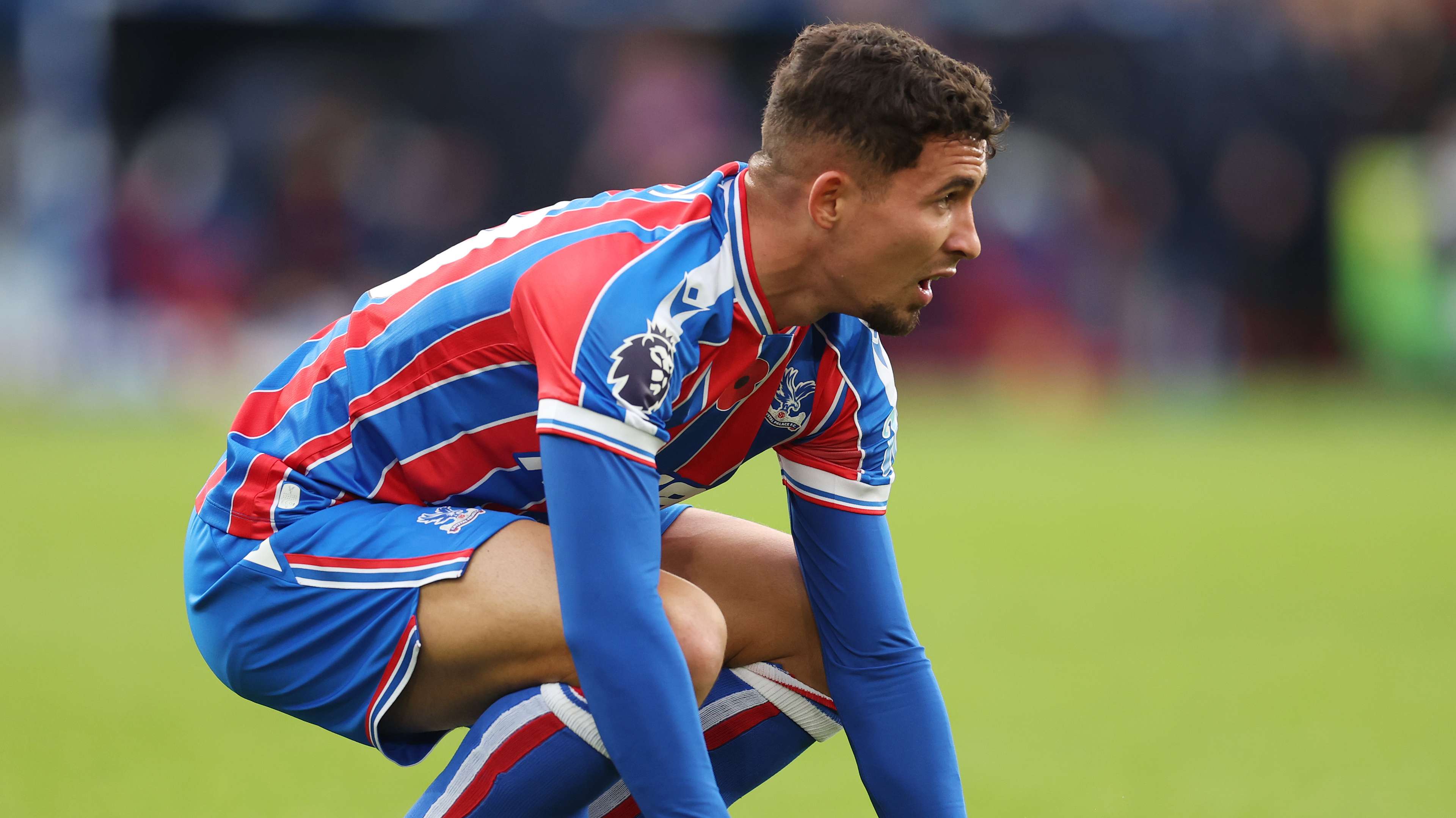 Crystal Palace v Brighton & Hove Albion - Premier League