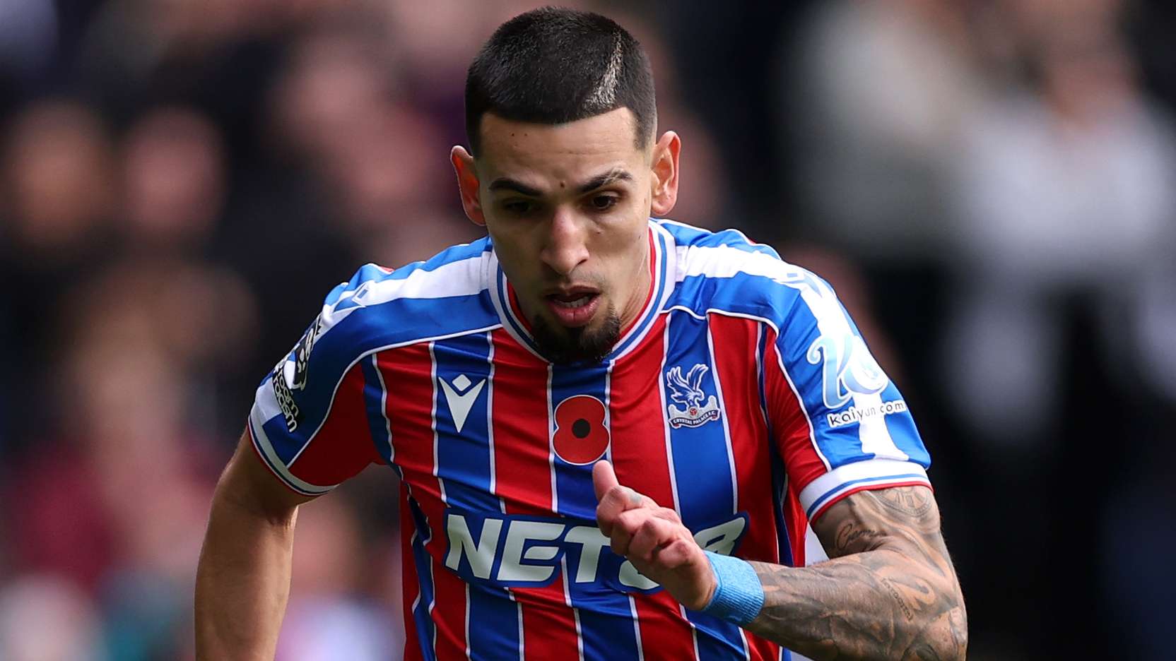 Crystal Palace v Brighton & Hove Albion - Premier League
