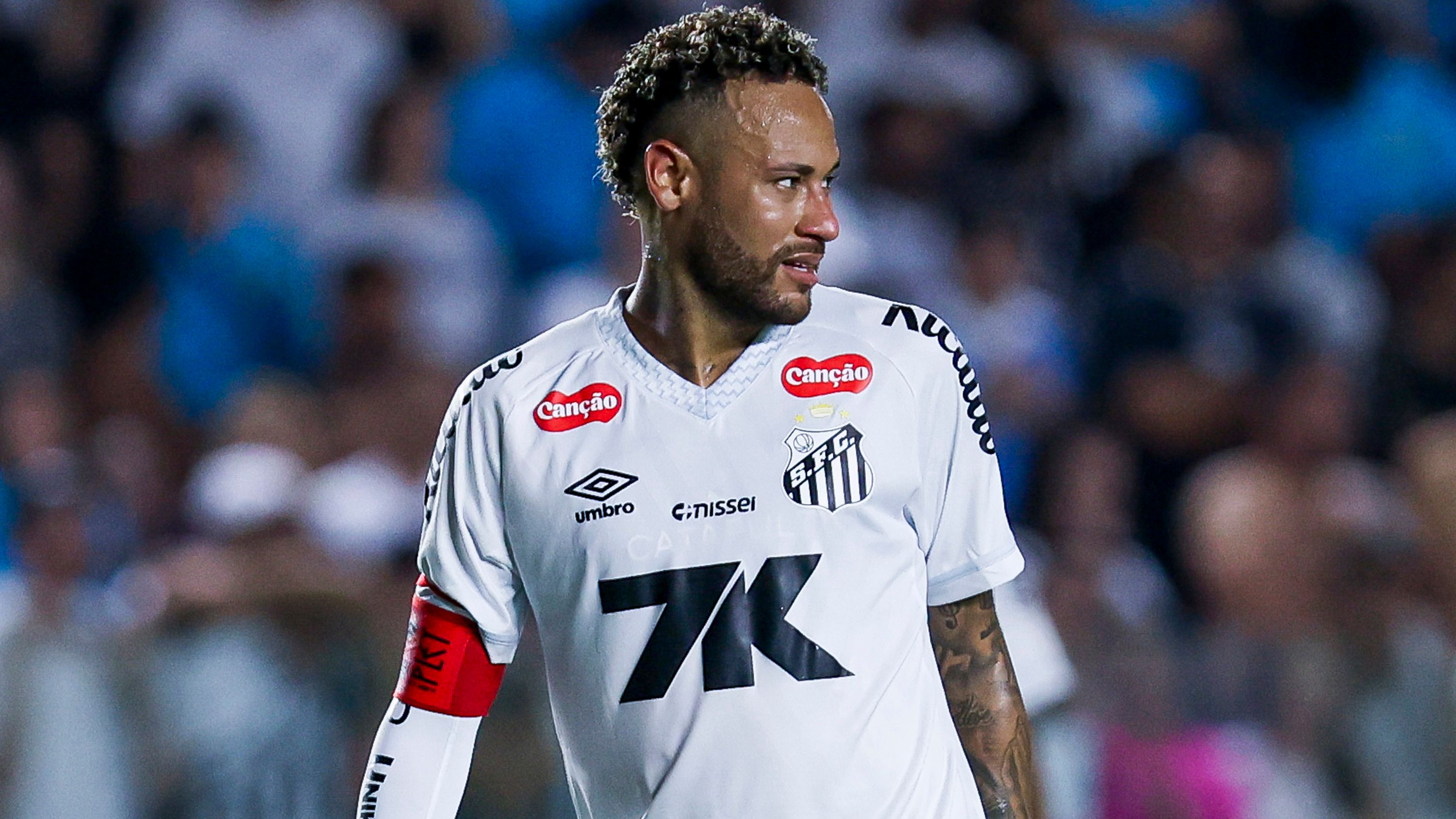 Santos v Palmeiras - Brasileirao 2025