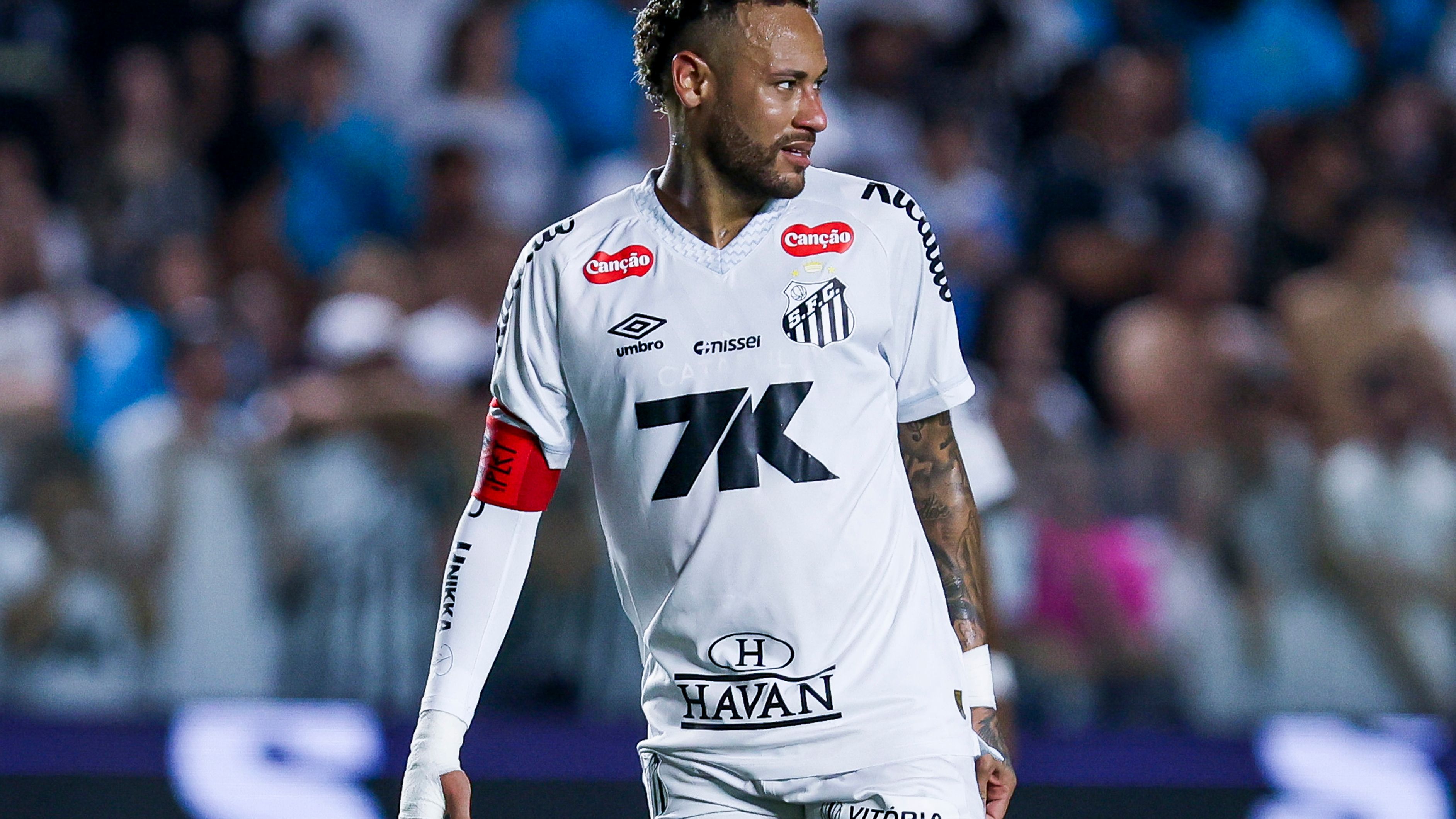 Santos v Palmeiras - Brasileirao 2025