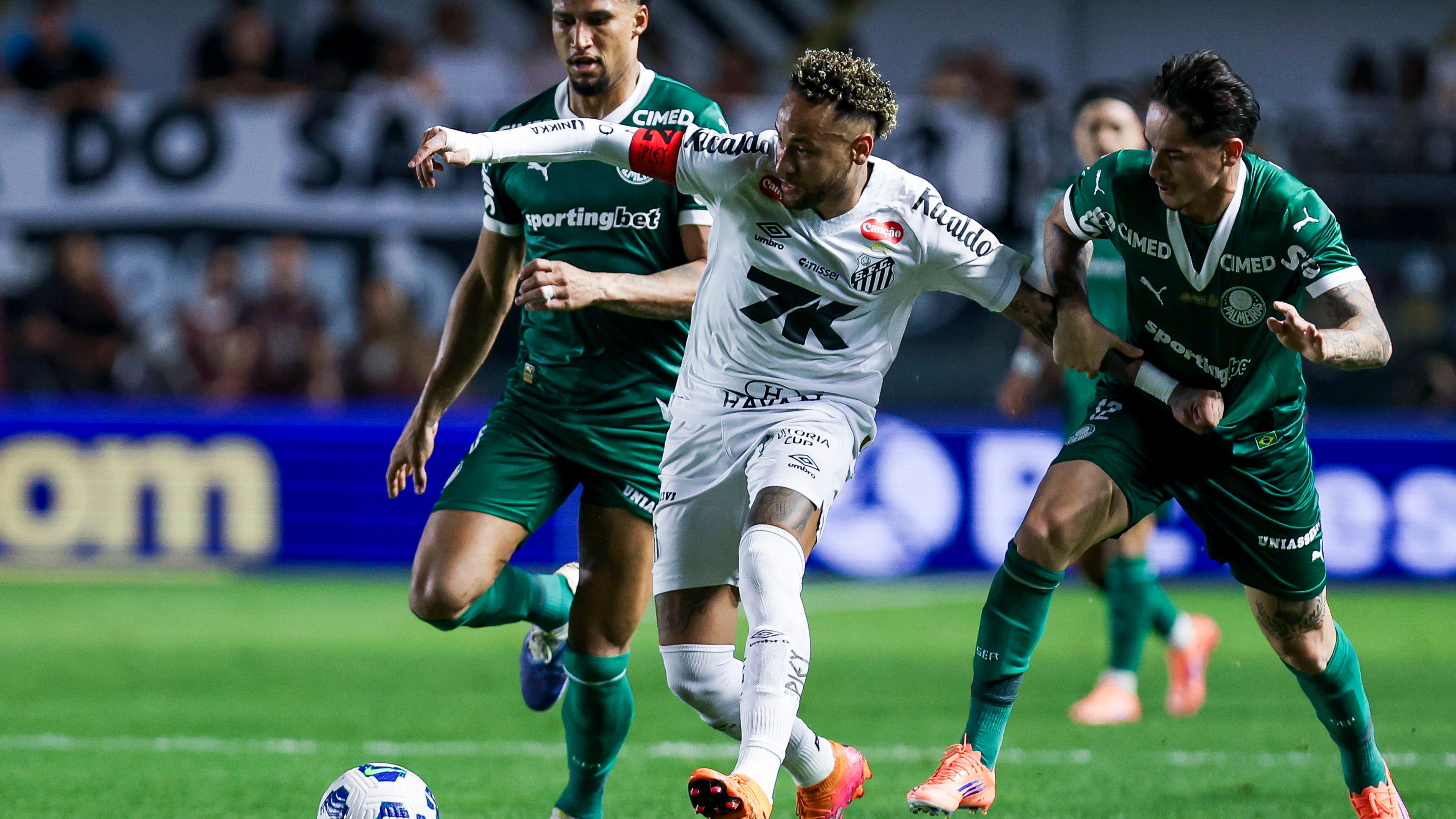 Santos v Palmeiras - Brasileirao 2025