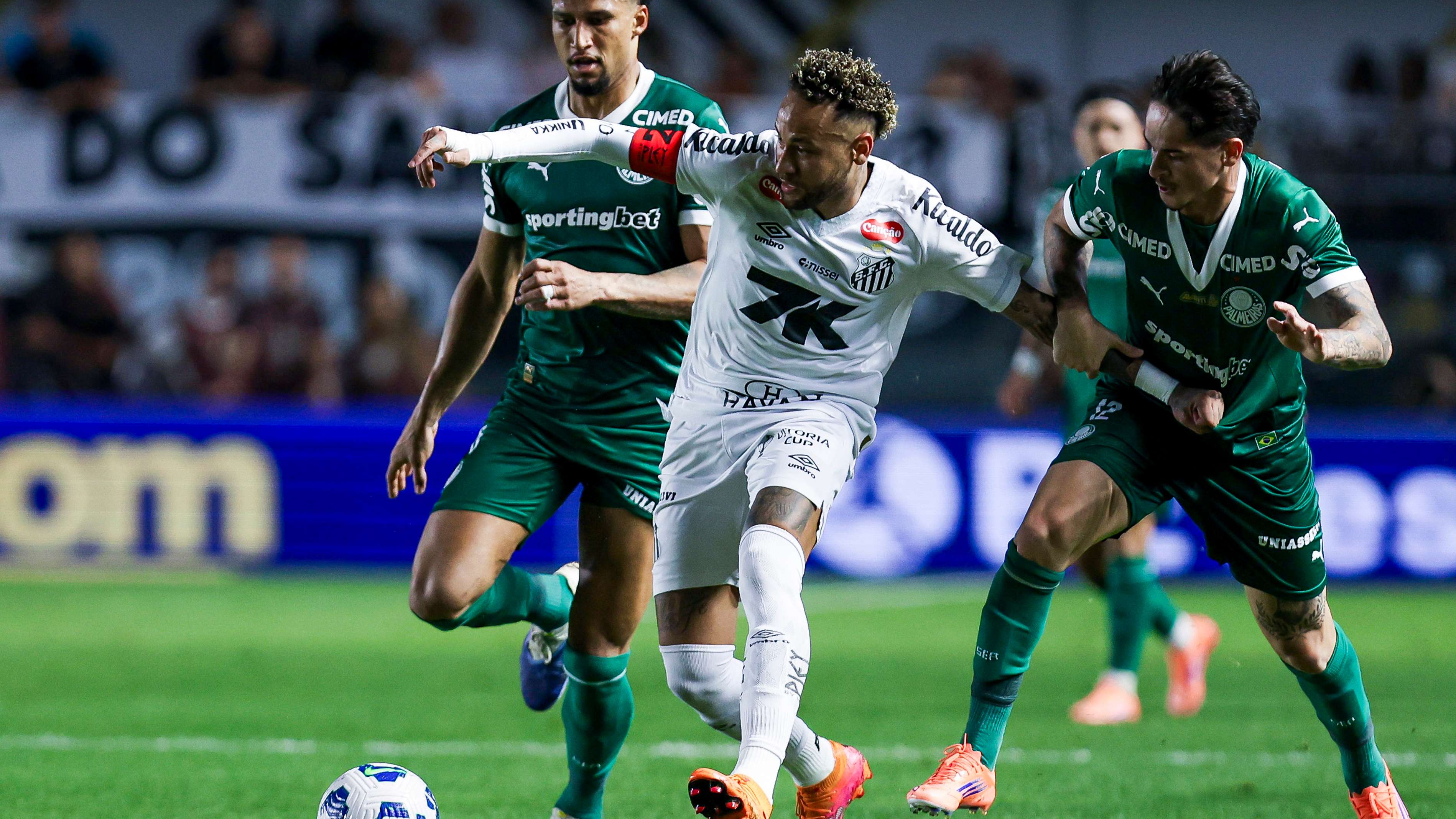 Santos v Palmeiras - Brasileirao 2025