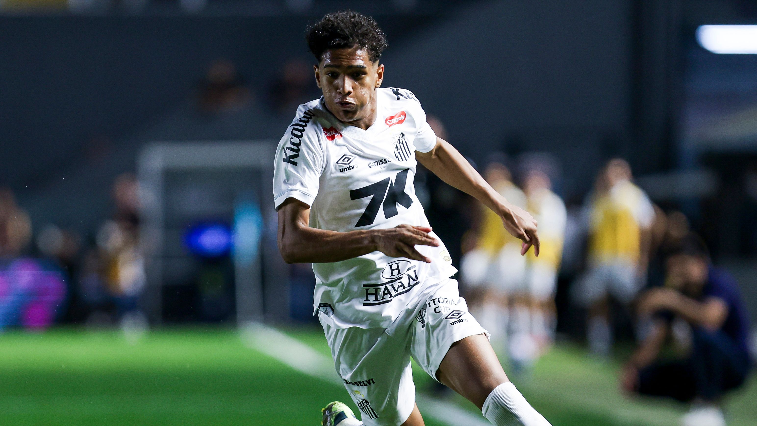 Santos v Palmeiras - Brasileirao 2025