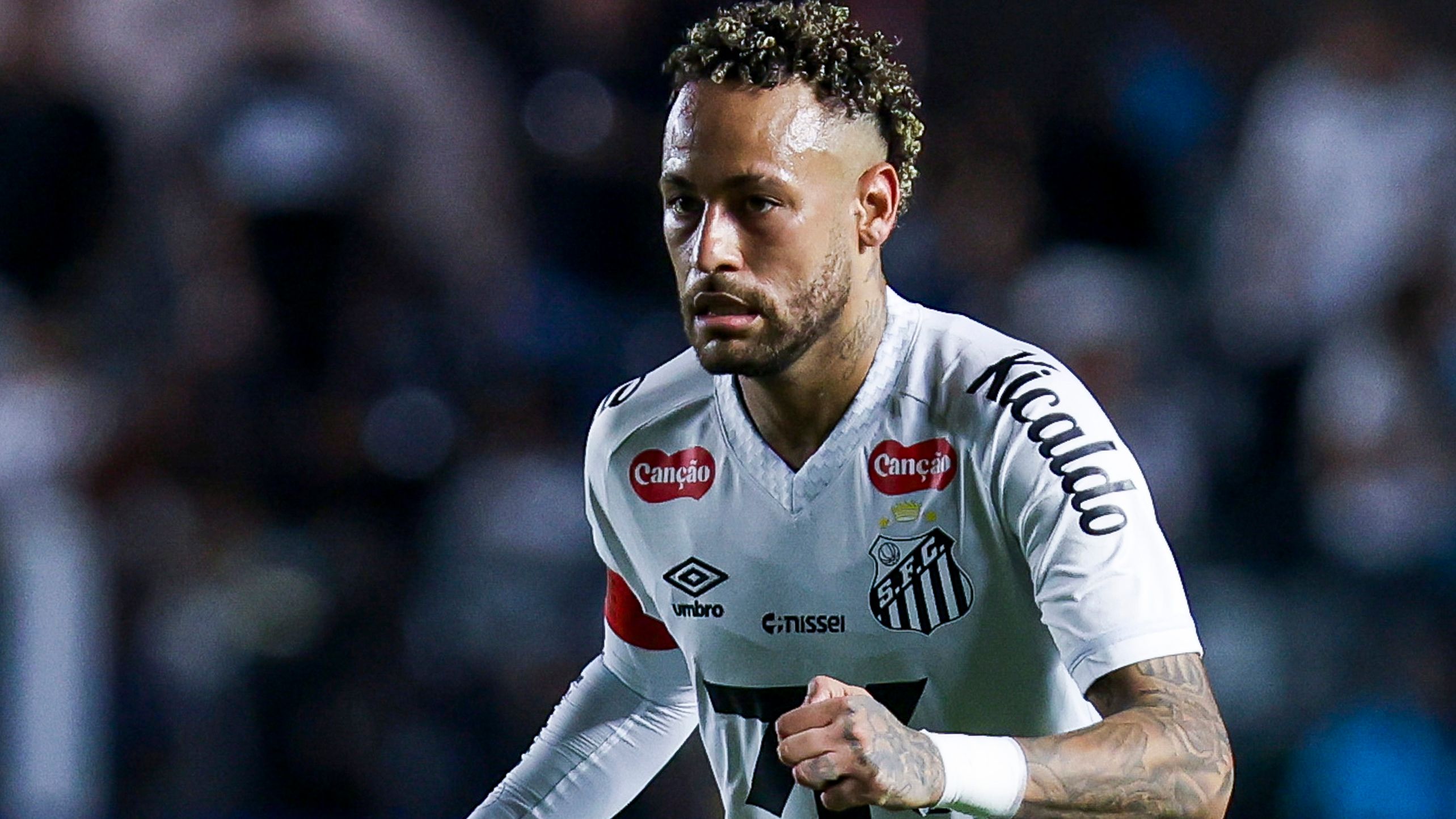 Santos v Palmeiras - Brasileirao 2025