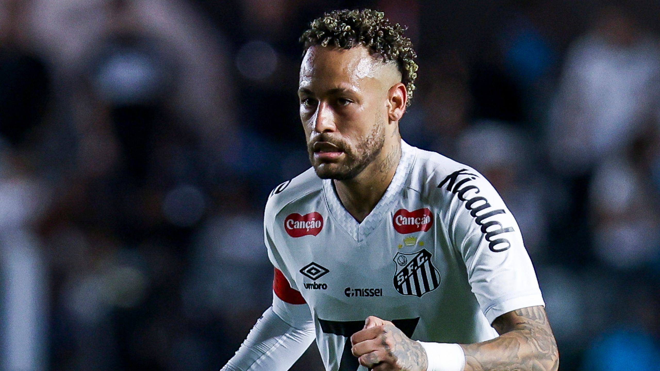 Santos v Palmeiras - Brasileirao 2025