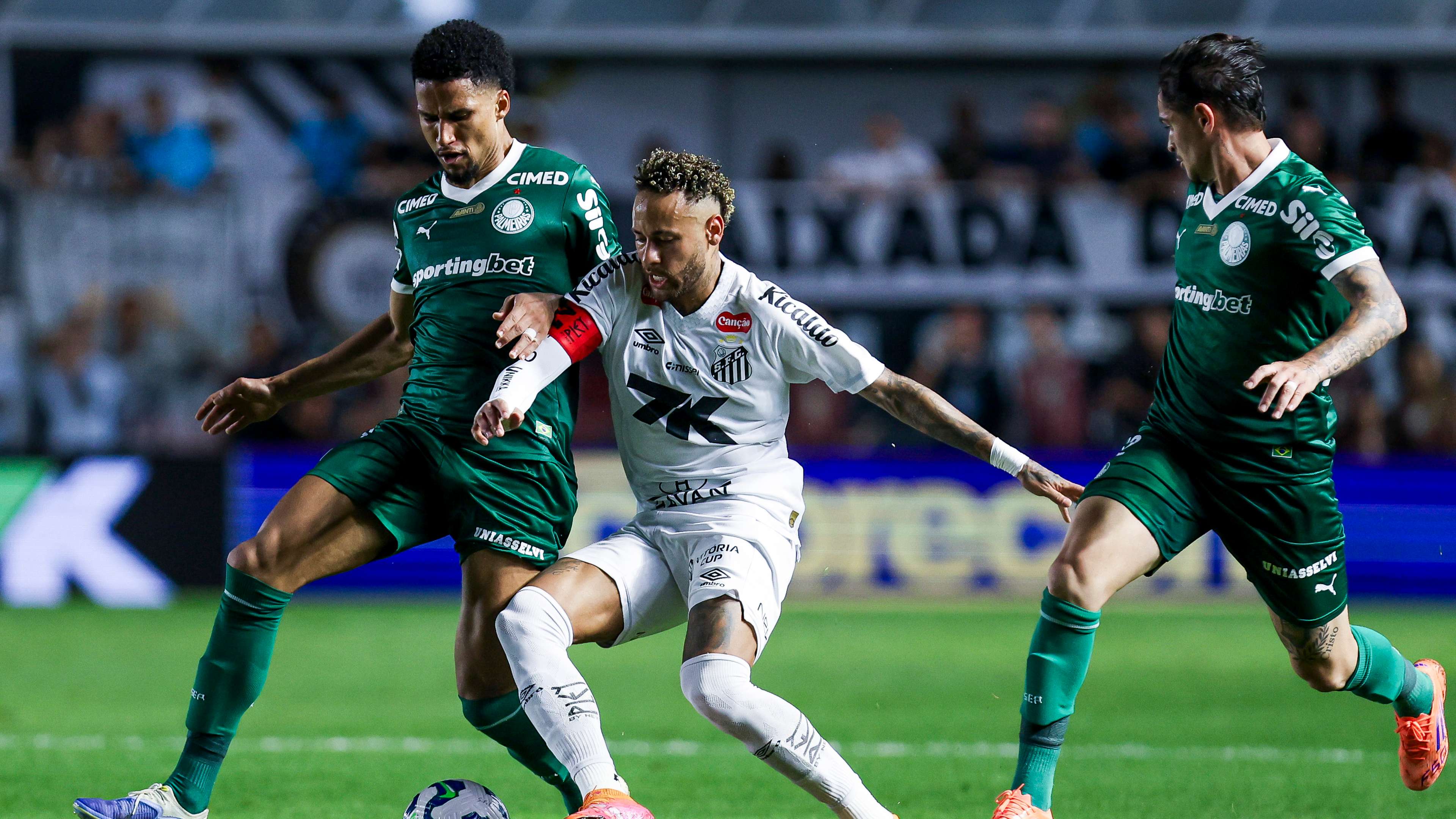 Santos v Palmeiras - Brasileirao 2025