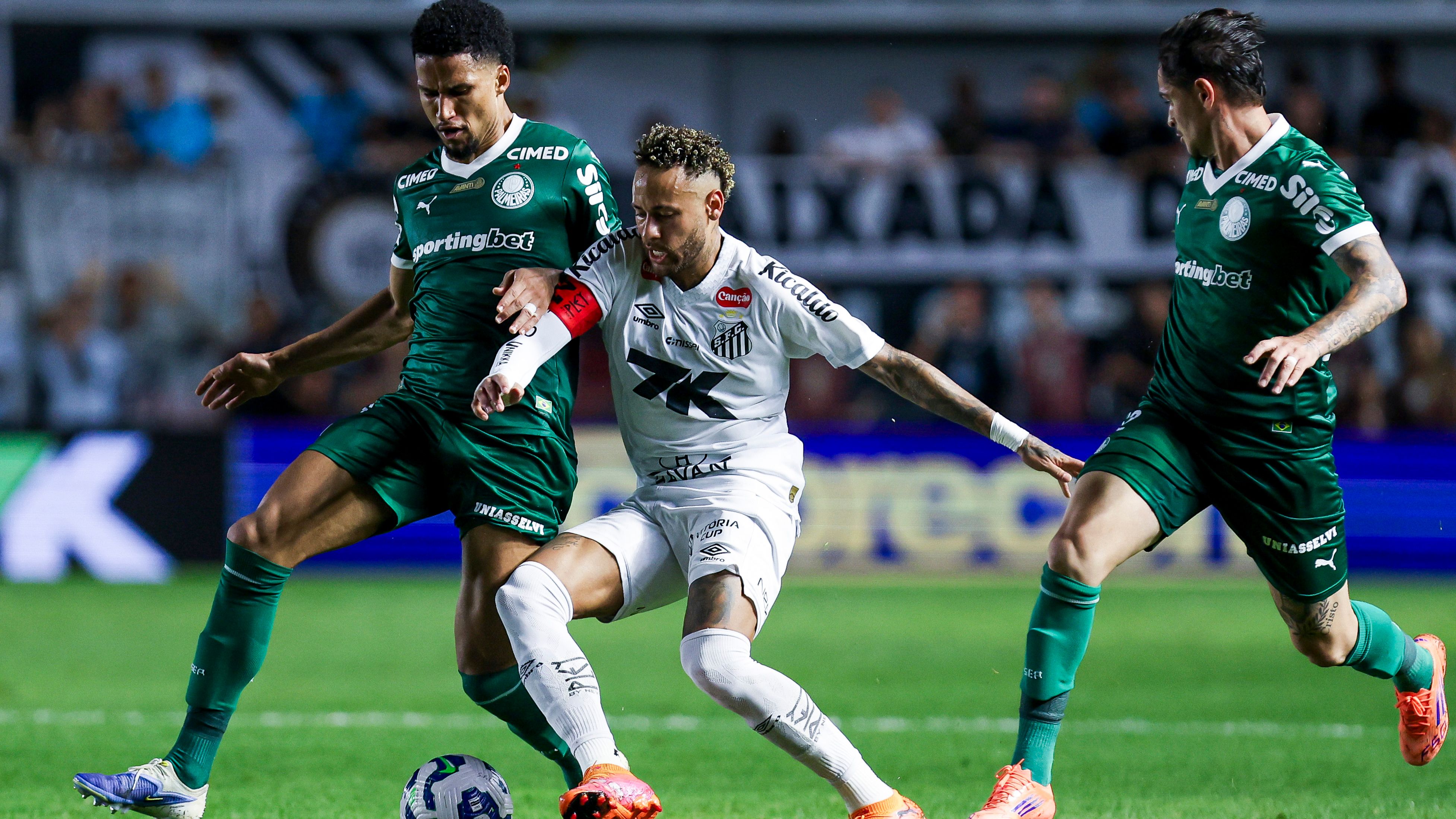 Santos v Palmeiras - Brasileirao 2025