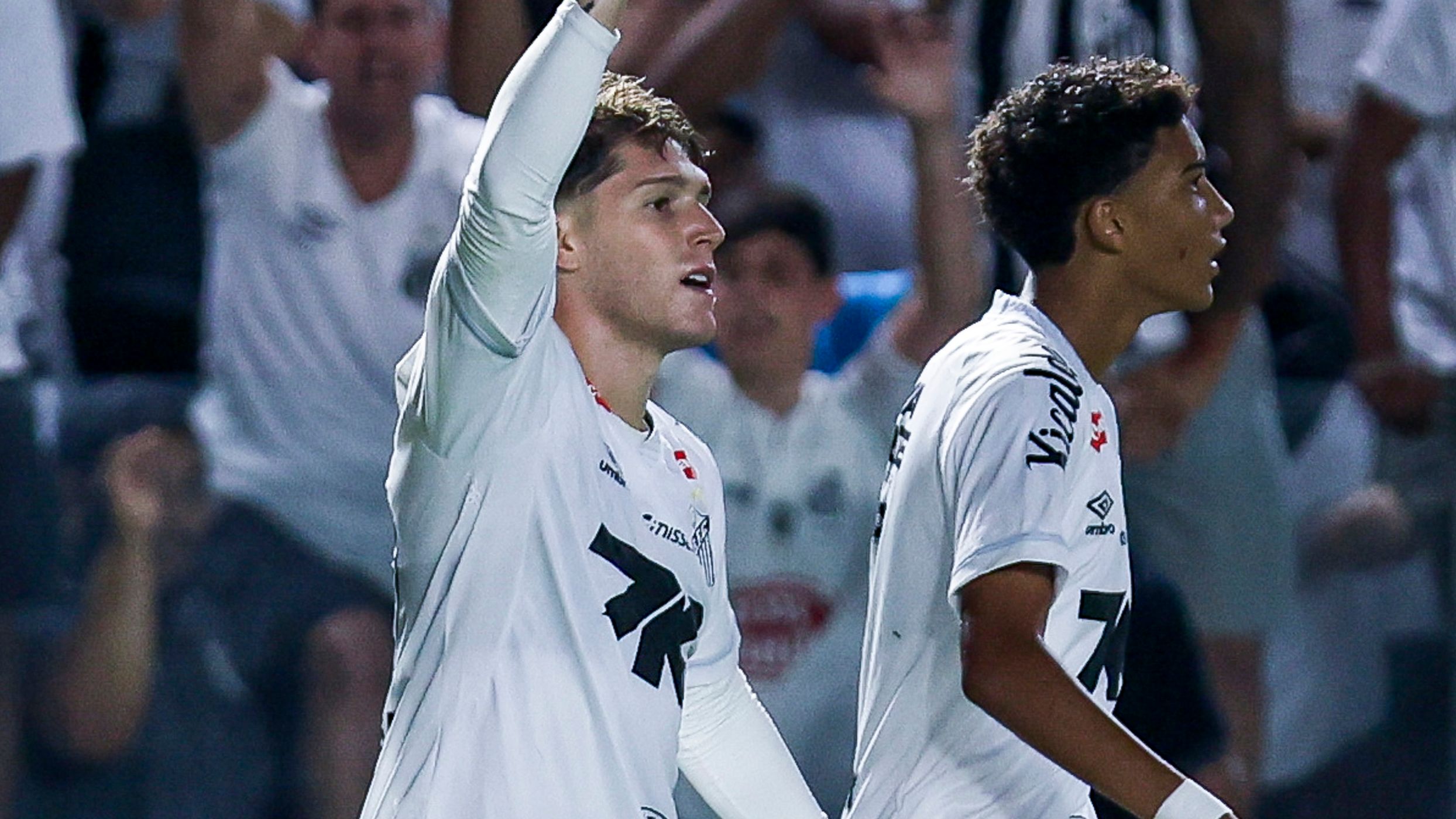 Santos v Palmeiras - Brasileirao 2025