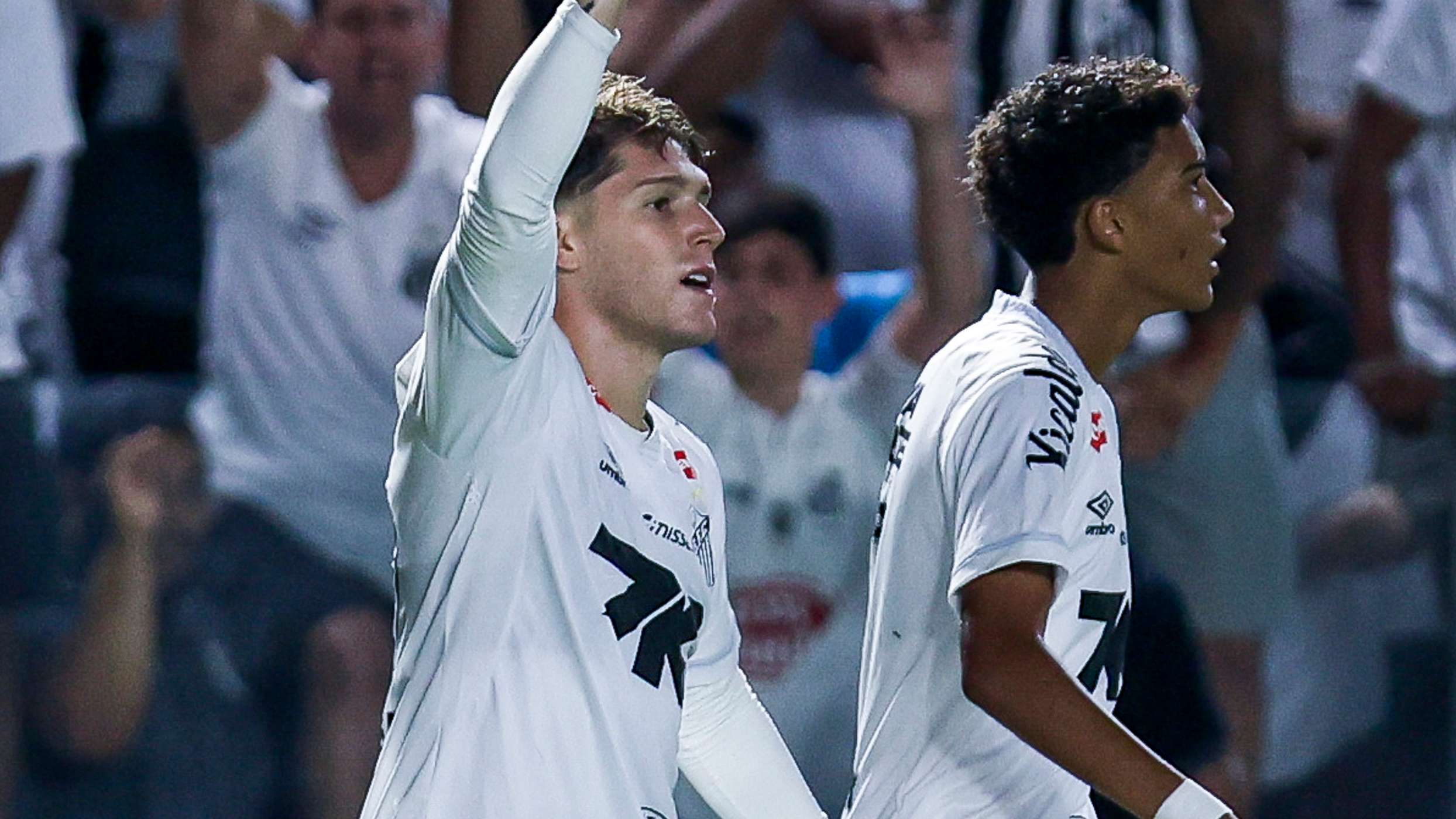 Santos v Palmeiras - Brasileirao 2025