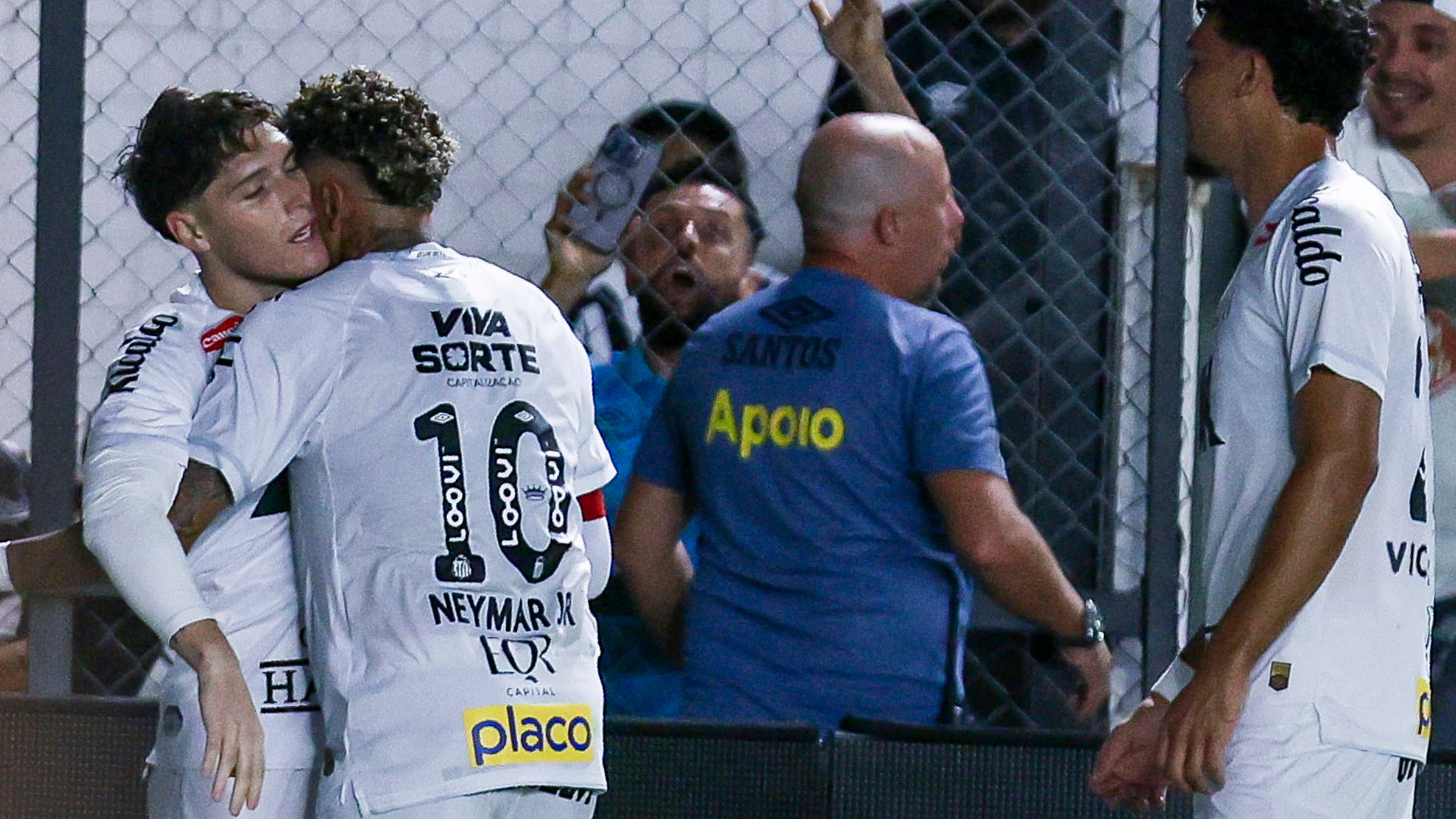 Santos v Palmeiras - Brasileirao 2025