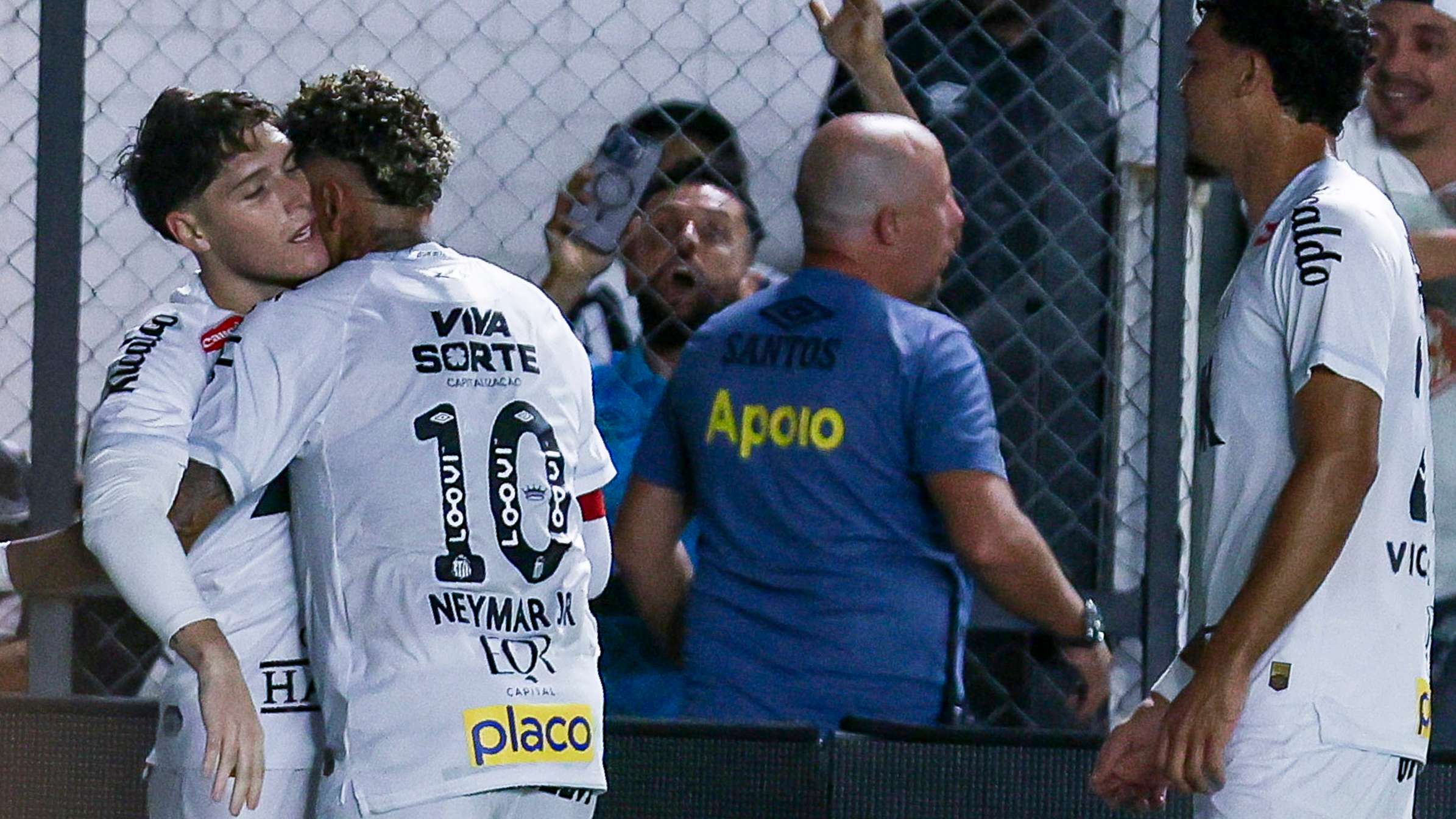 Santos v Palmeiras - Brasileirao 2025