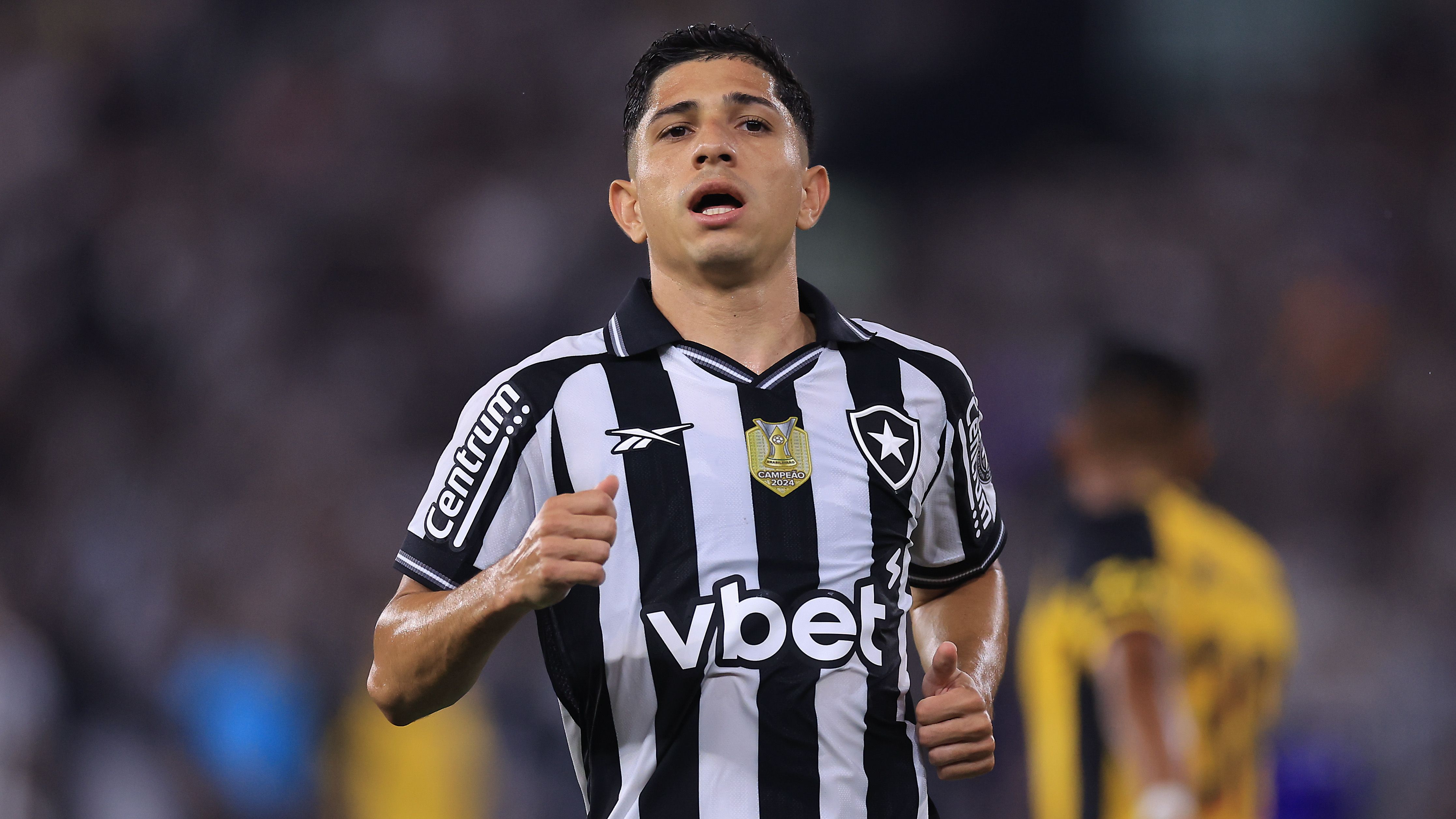 Botafogo v Sport Recife - Brasileirao 2025