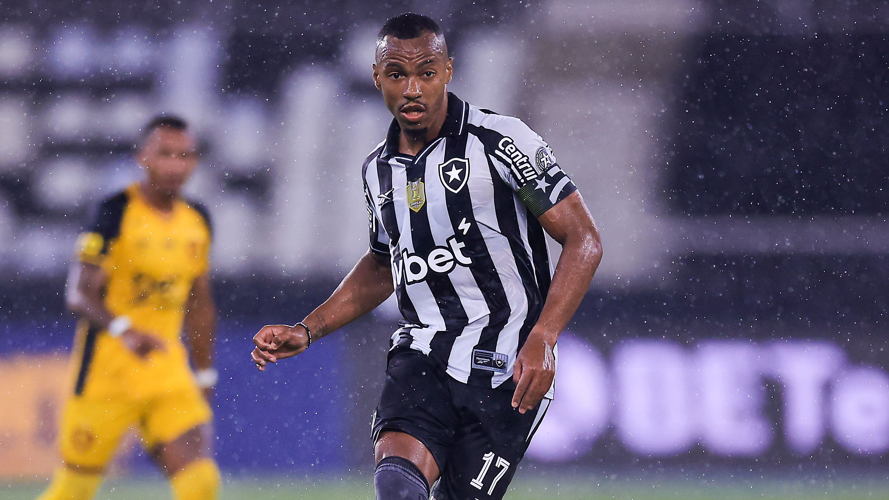 Botafogo v Sport Recife - Brasileirao 2025