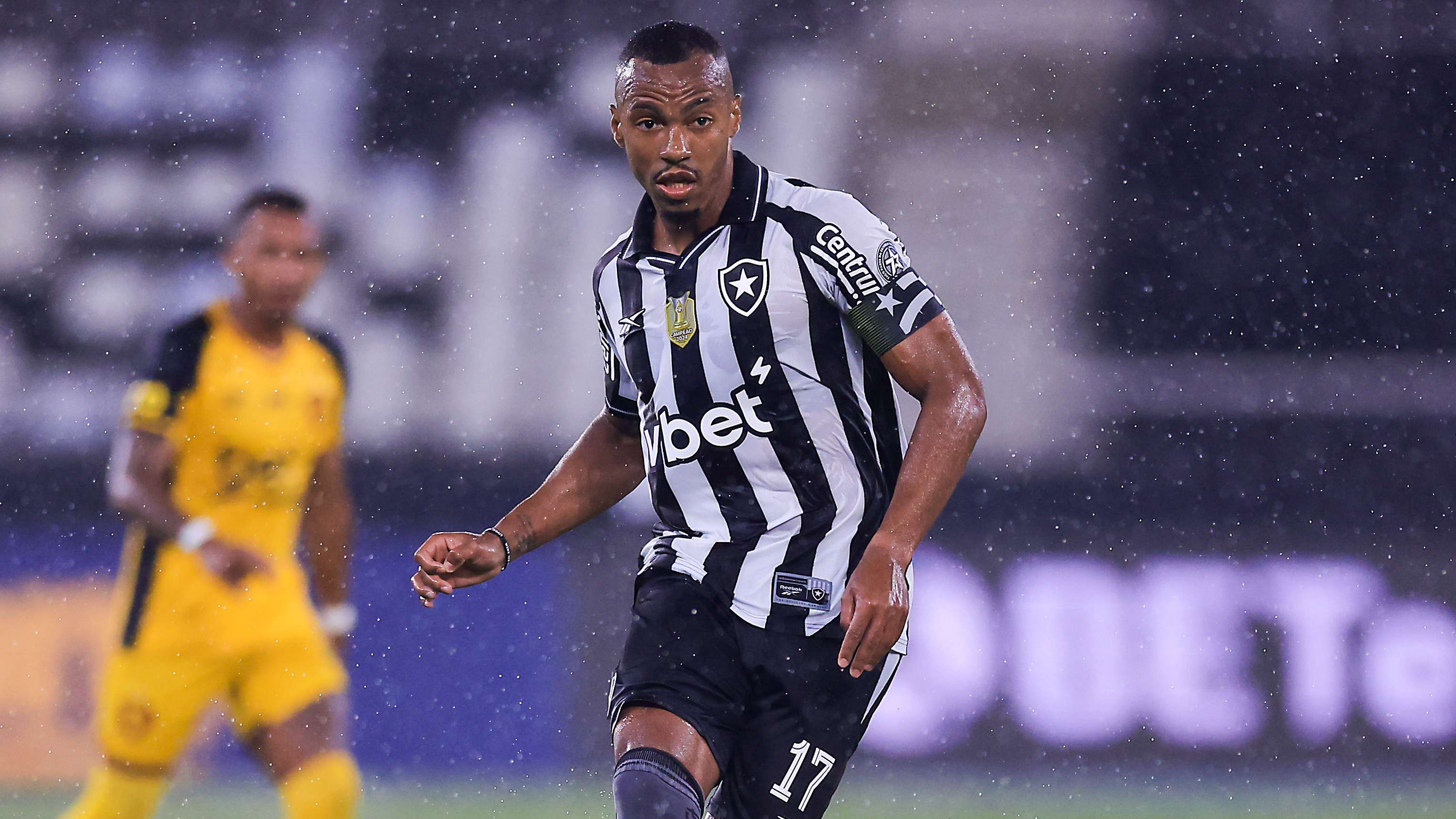 Botafogo v Sport Recife - Brasileirao 2025