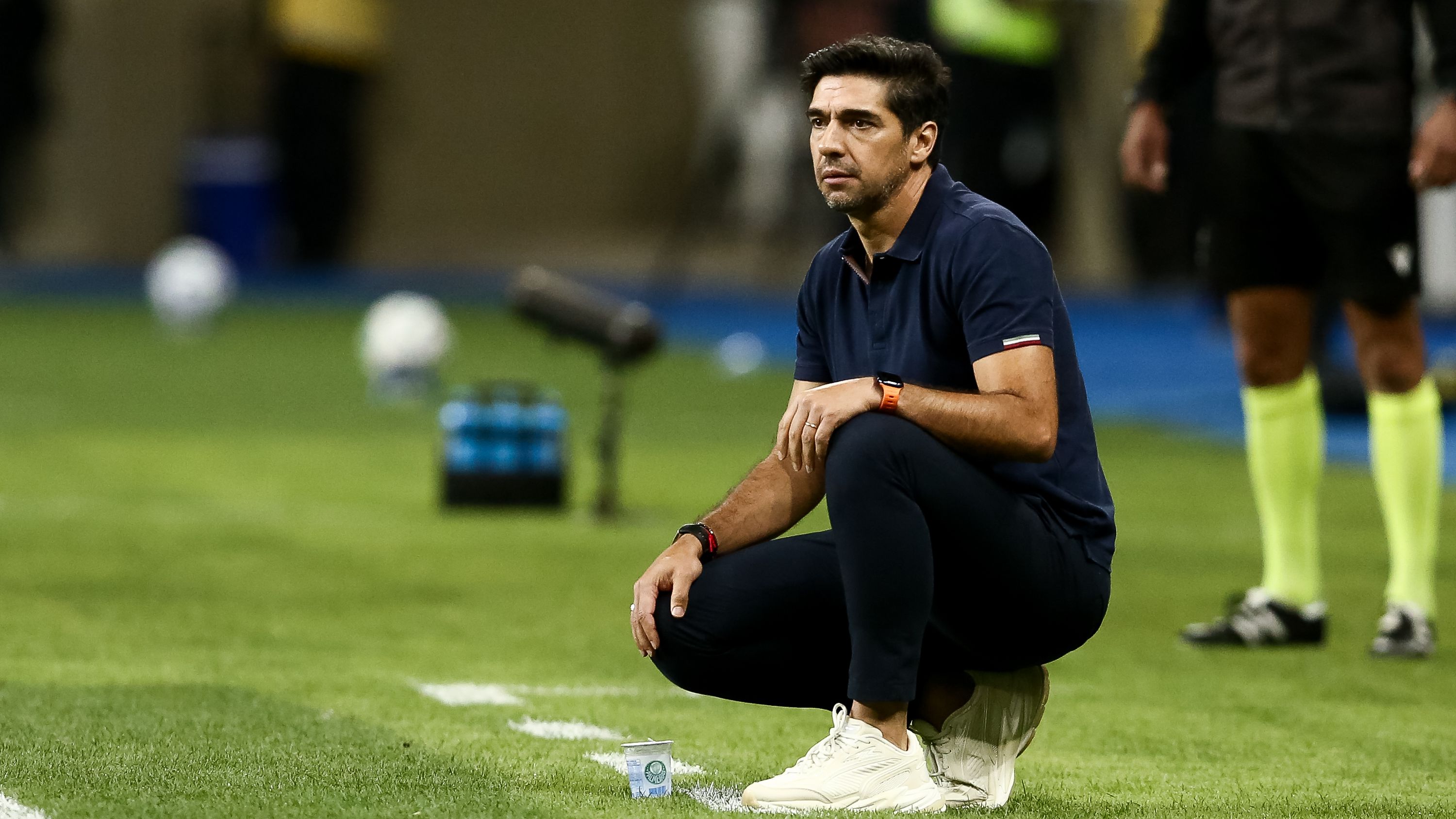 Gremio v Palmeiras - Brasileirao 2025