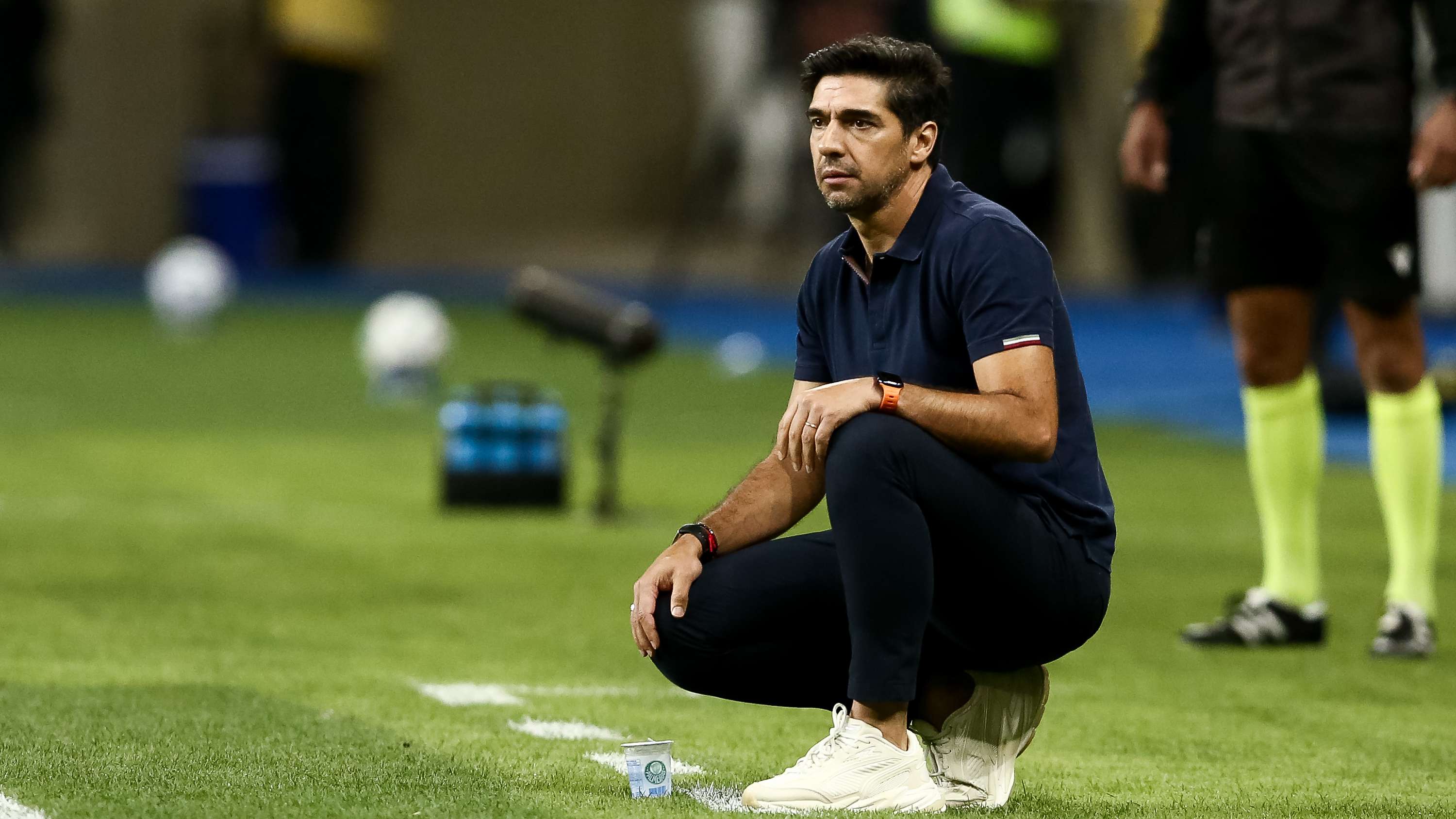 Gremio v Palmeiras - Brasileirao 2025