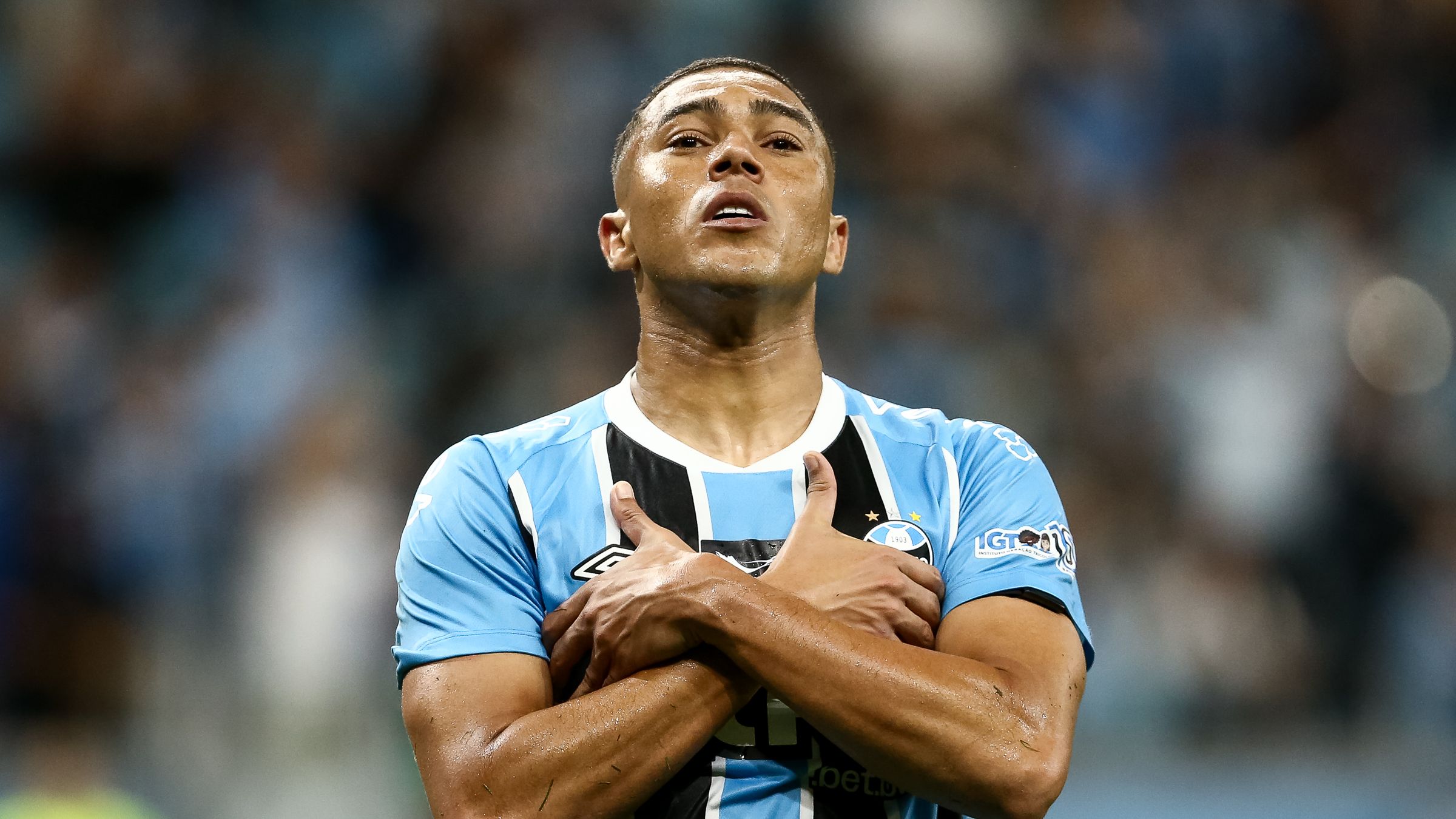 Gremio v Palmeiras - Brasileirao 2025