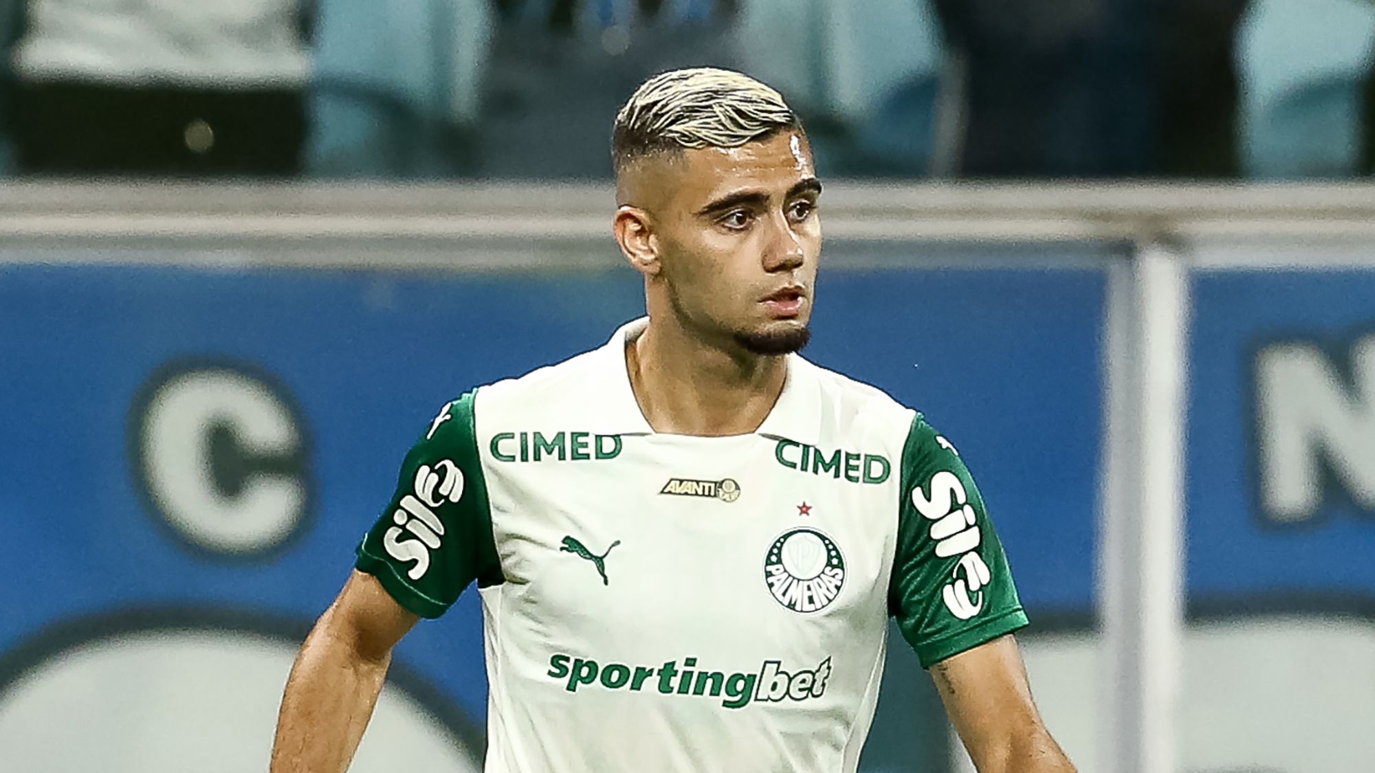 Gremio v Palmeiras - Brasileirao 2025