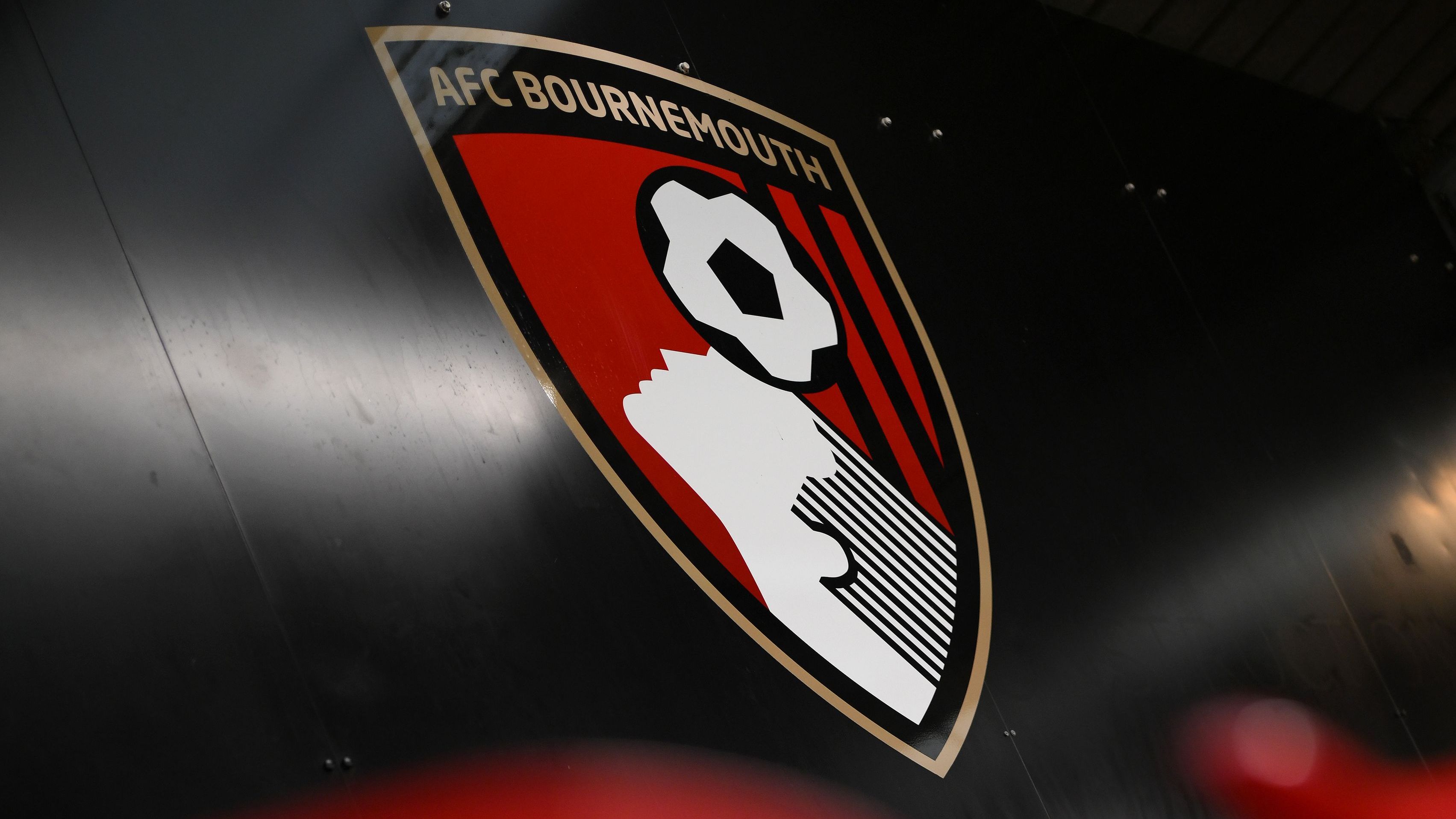 Bournemouth v West Ham United - Premier League