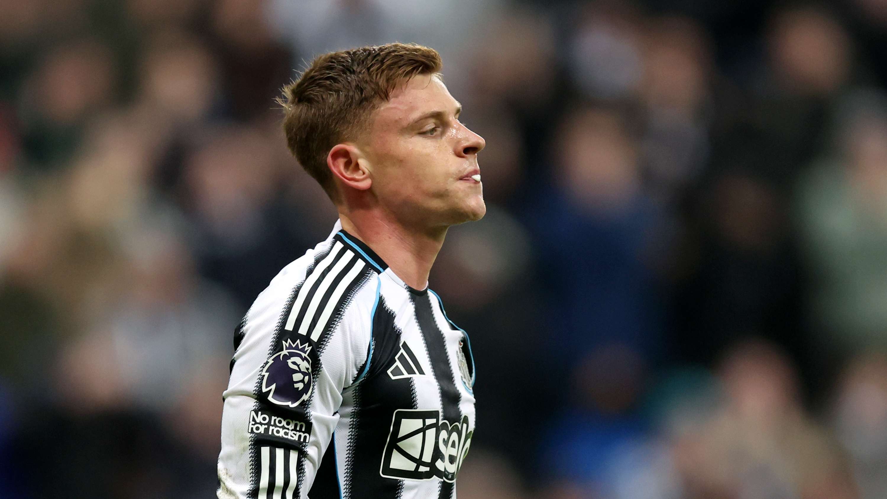 Newcastle United v Manchester City - Premier League